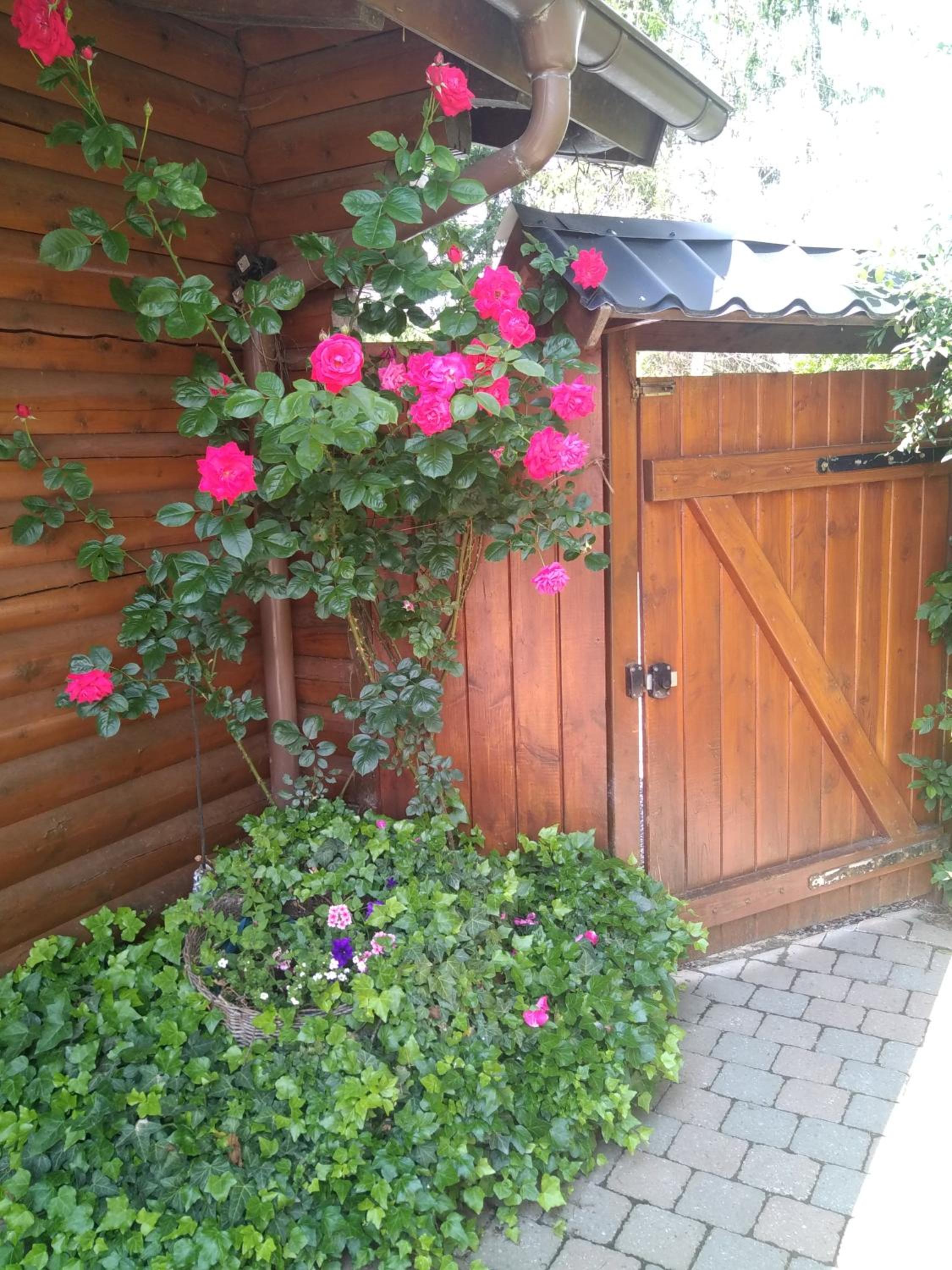 Chalet Le Paradou Adults only