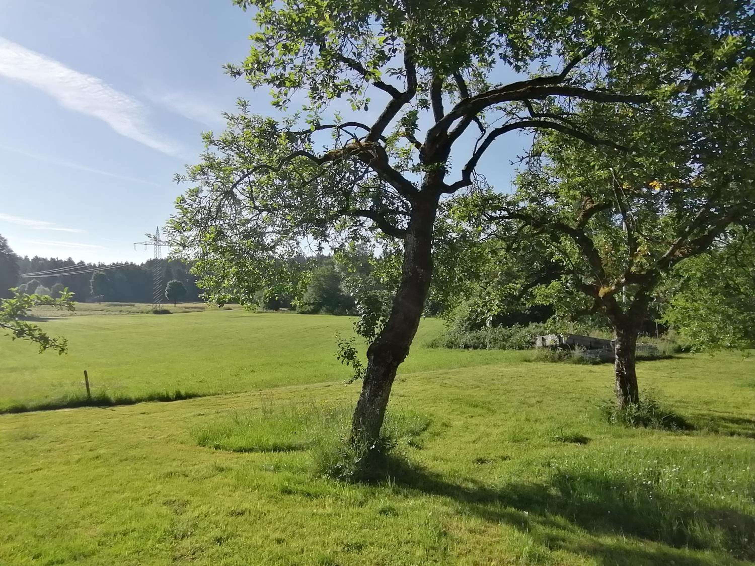 Marxhof Seebruck am Chiemsee