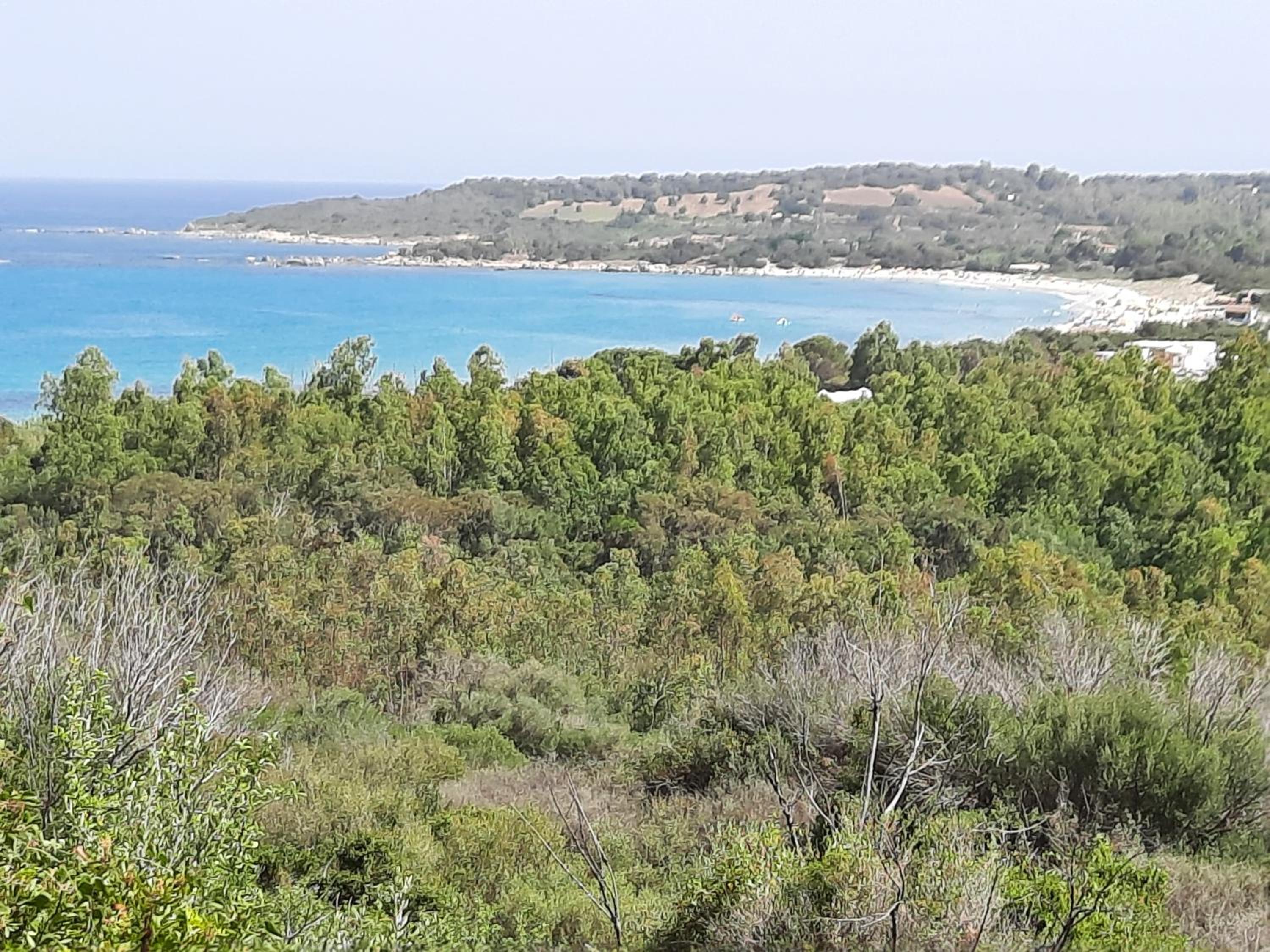 VILLA VACANZE IS CARCURIS view 3