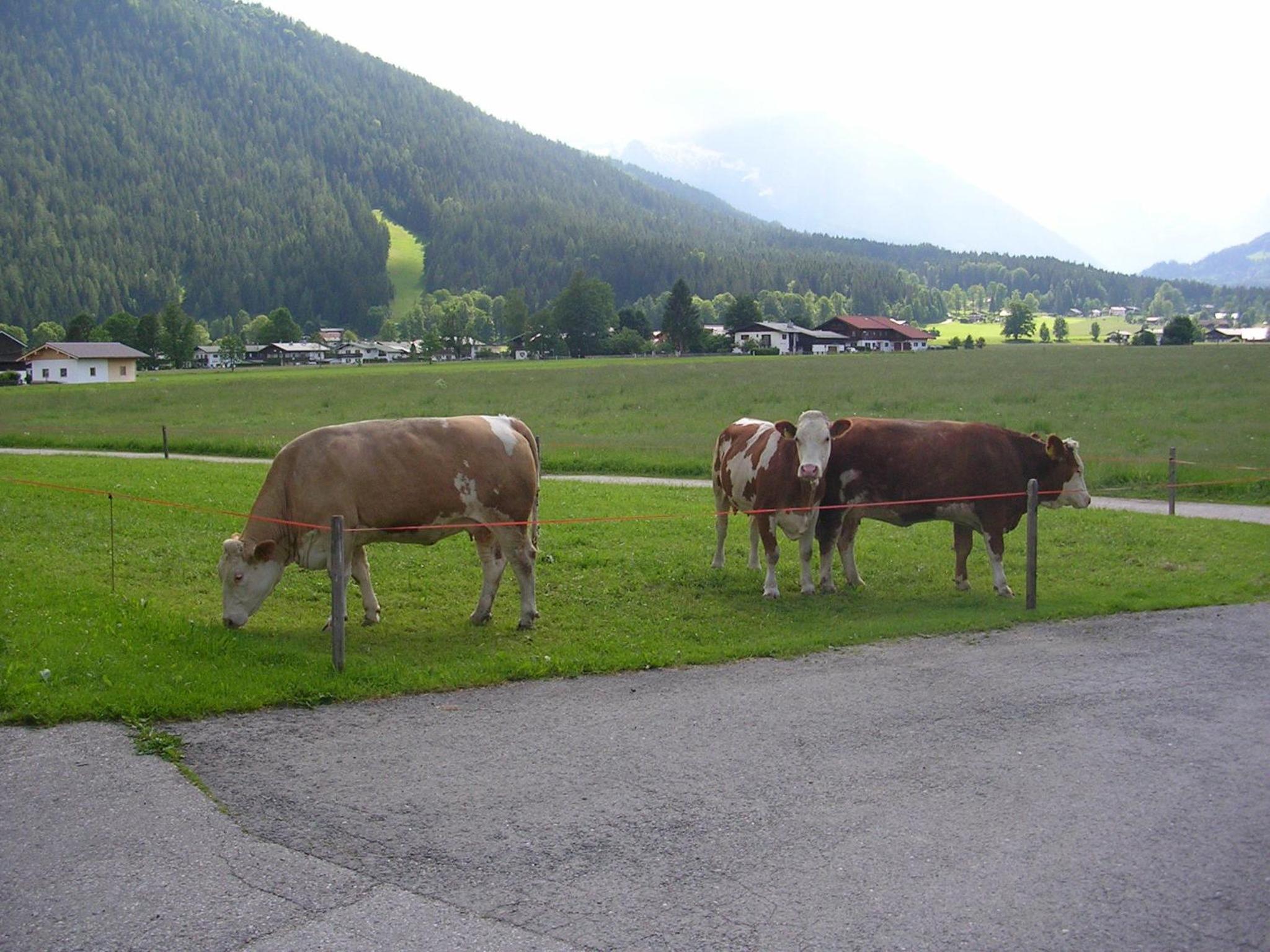 Gästehaus Bodnerlehen