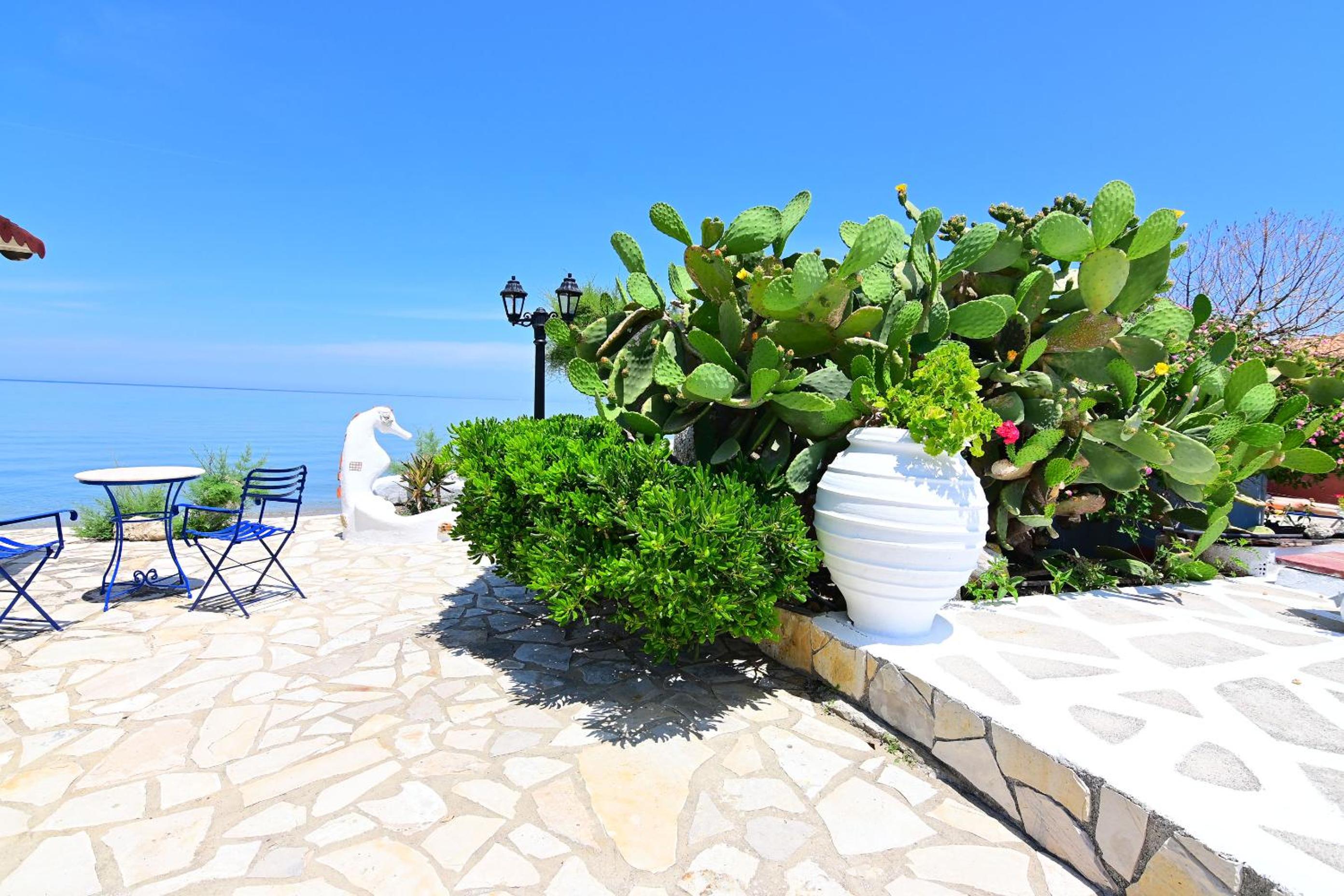 Alisaxni Studios view 4