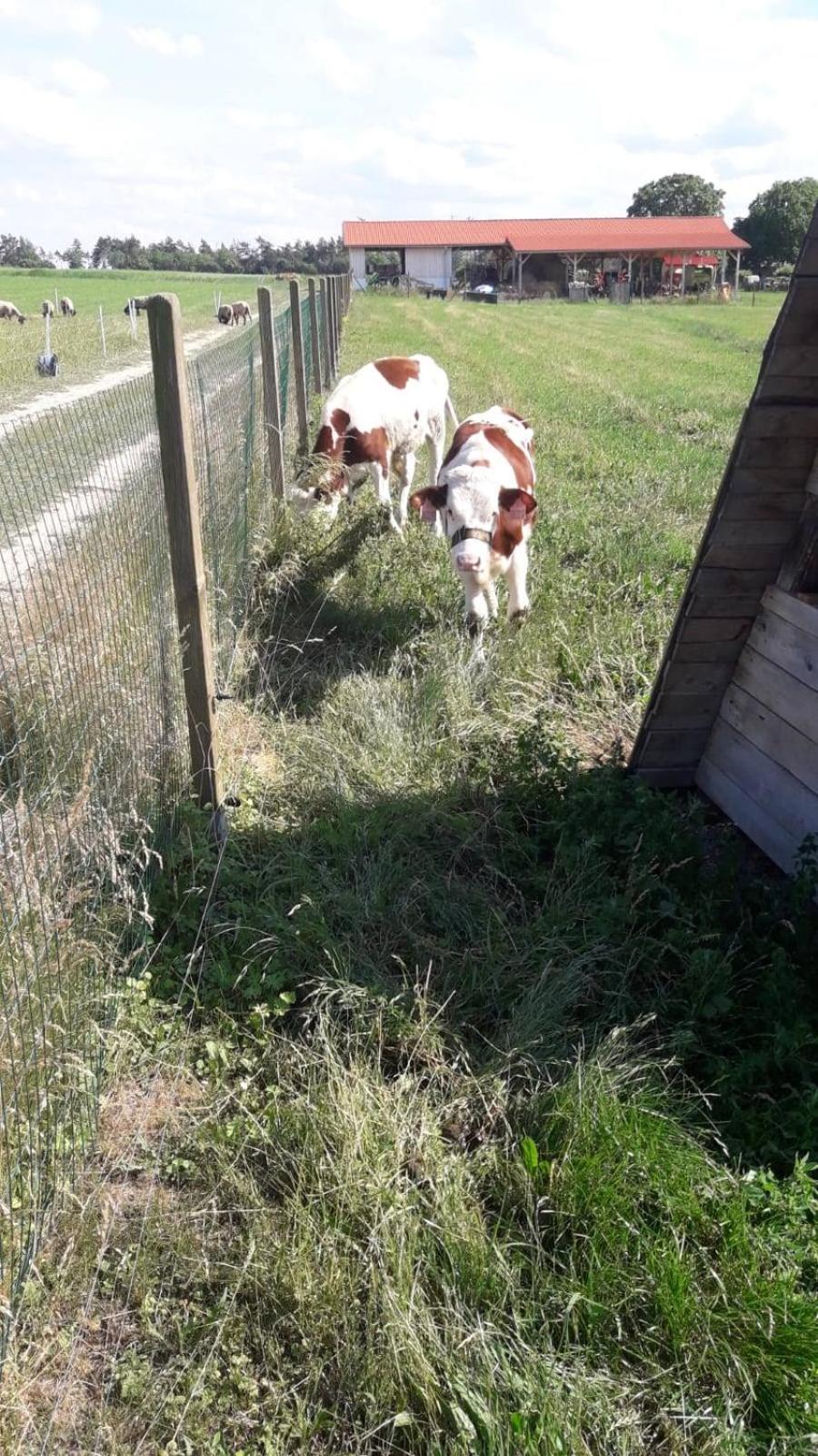 Pension Sodomkův statek Czap