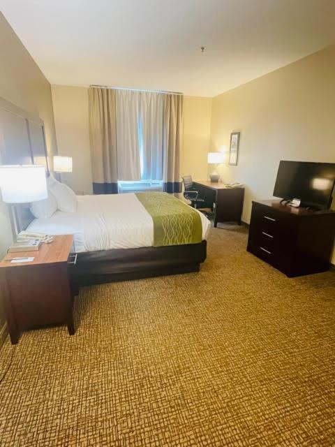 Comfort Inn Hebron-Lowell Area