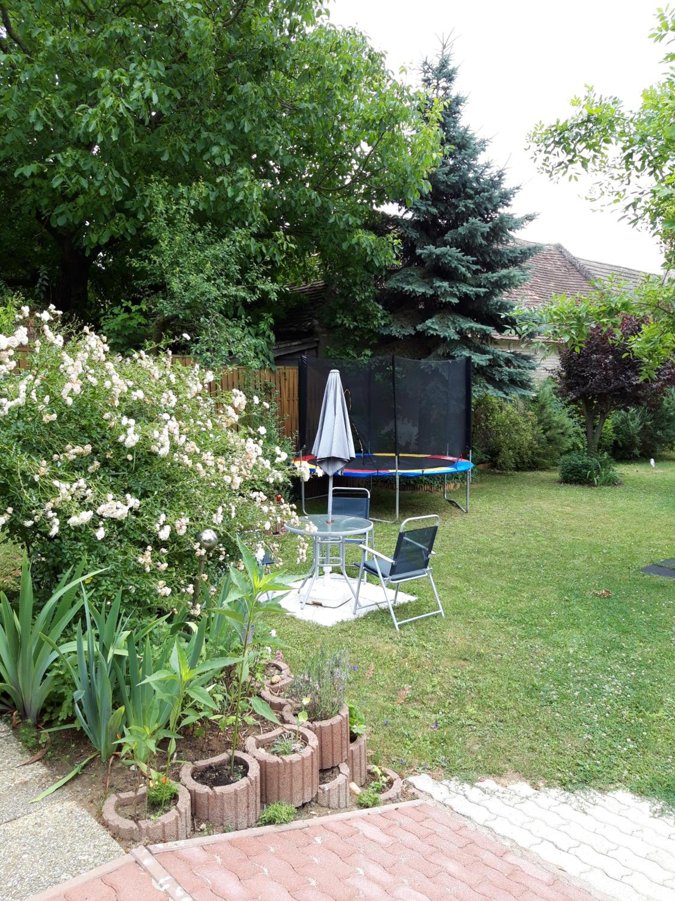 Photo 42