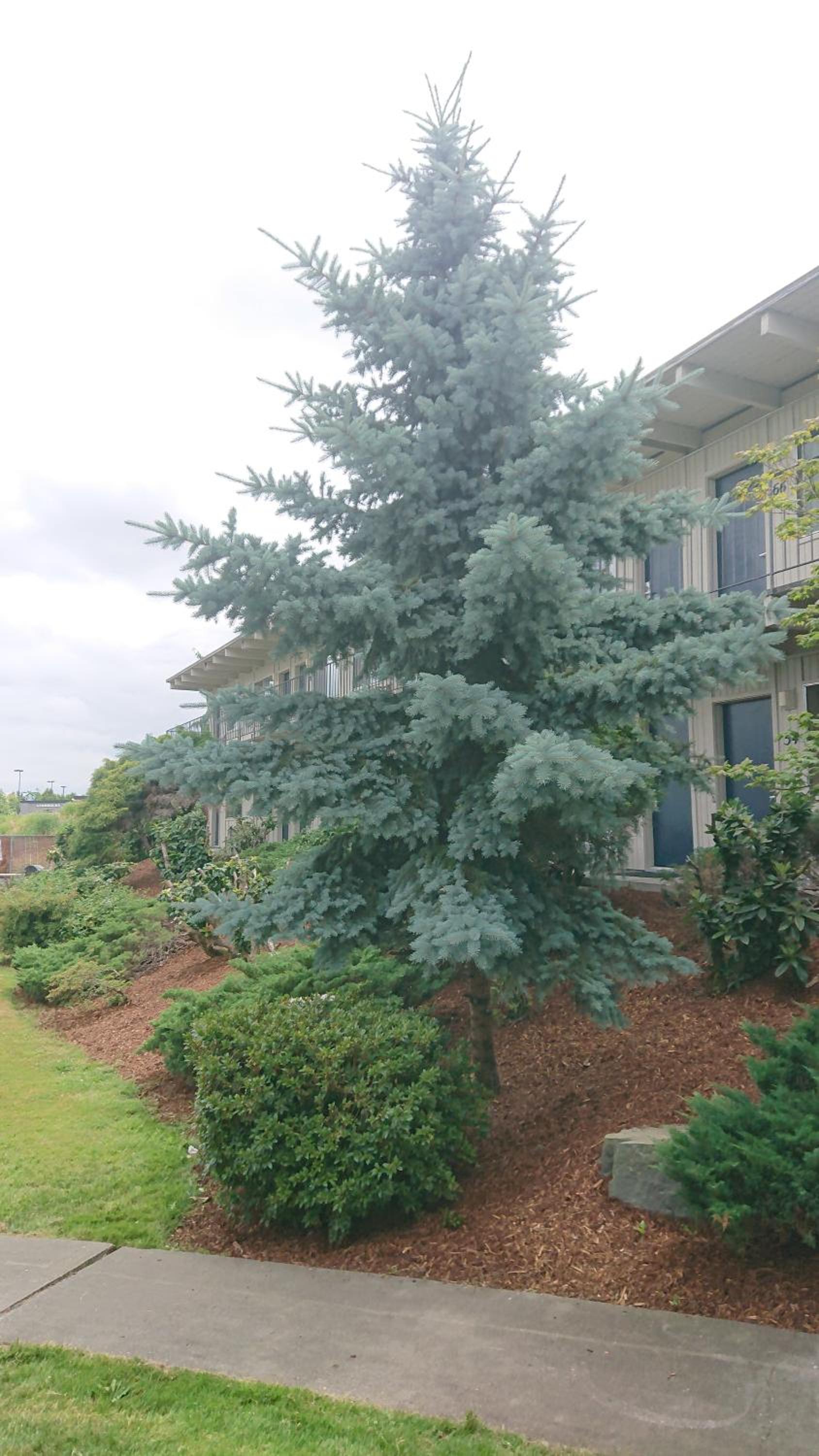 Cocusa Motel