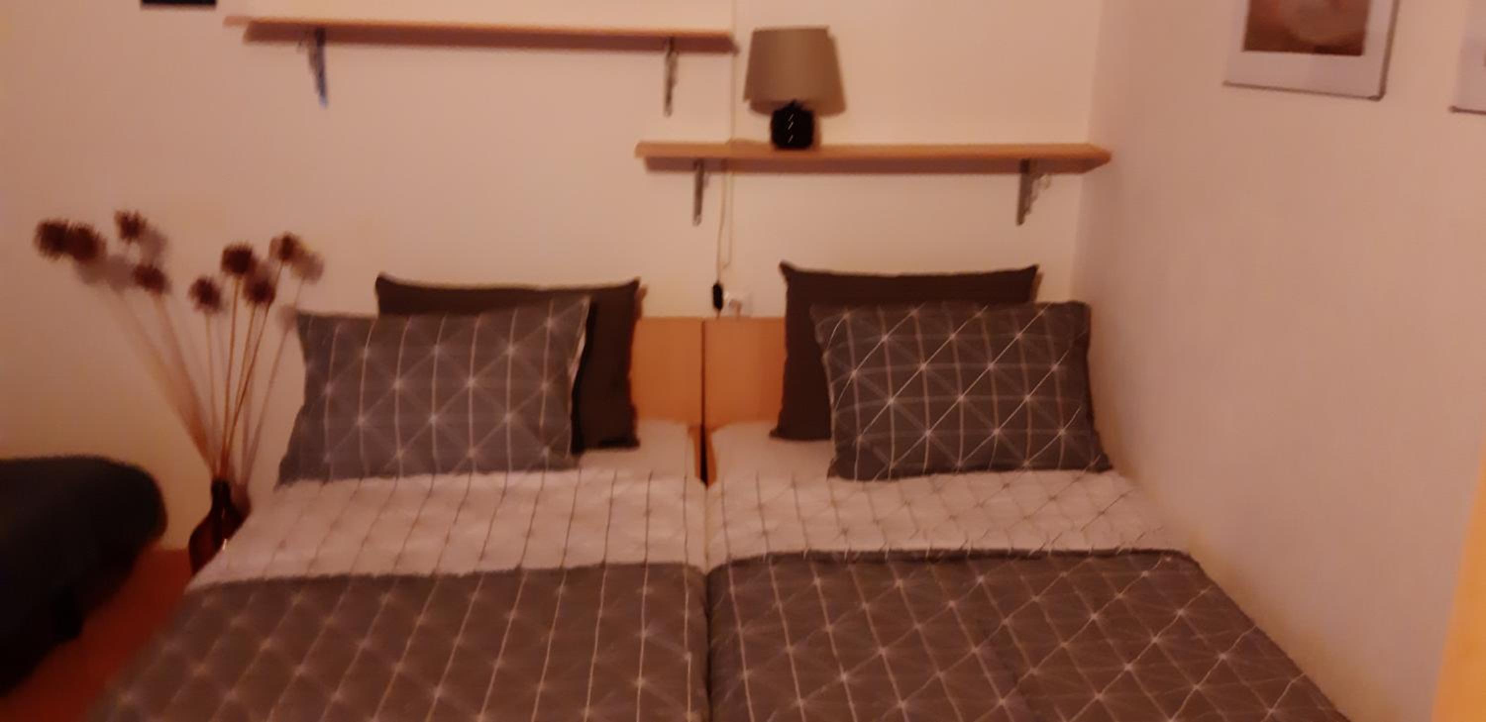Bamboo apartman view 5