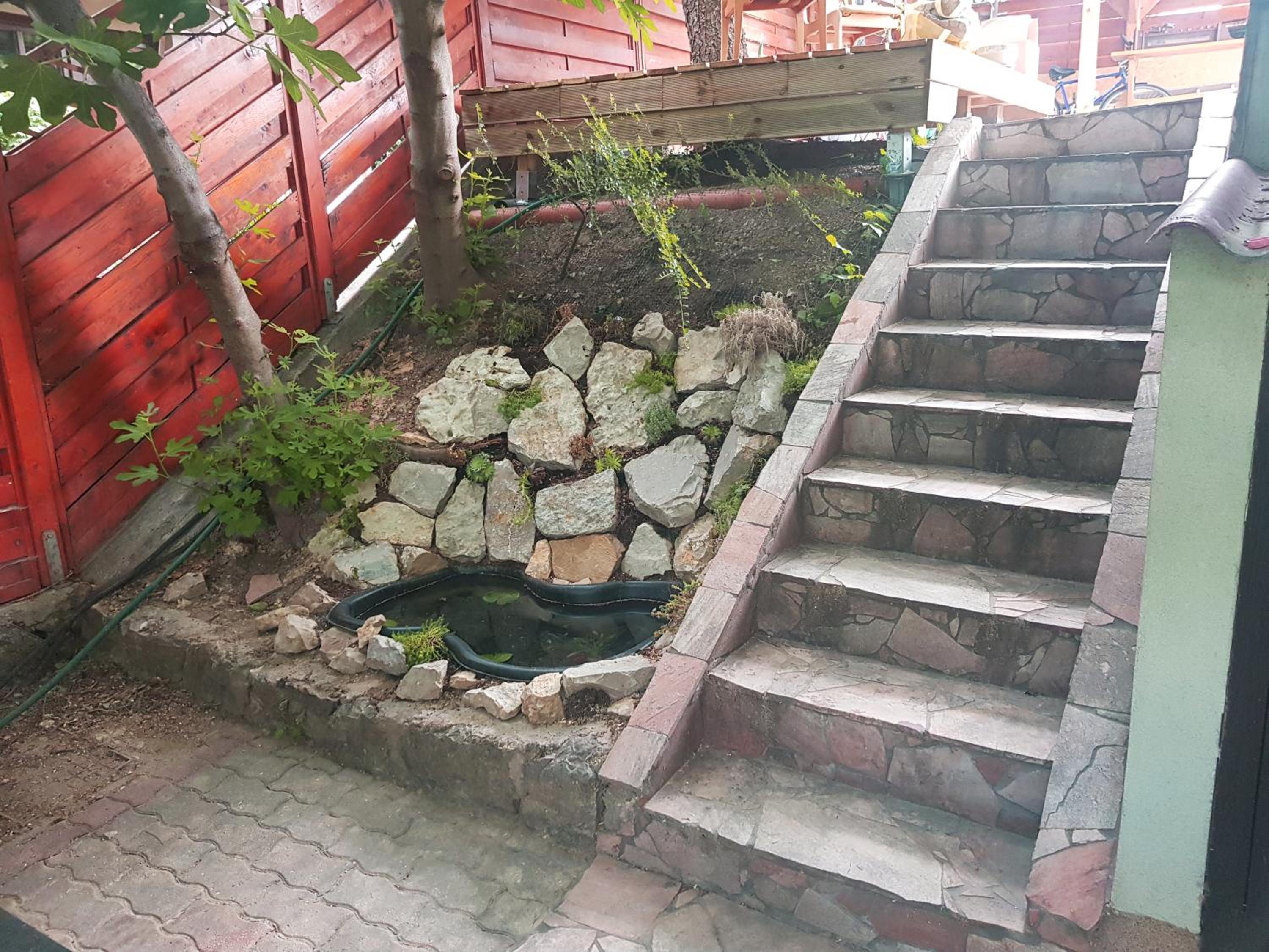Photo 6
