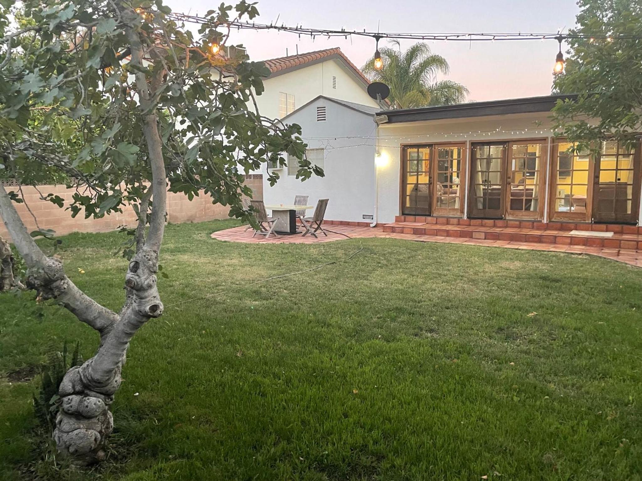 Photo 31
