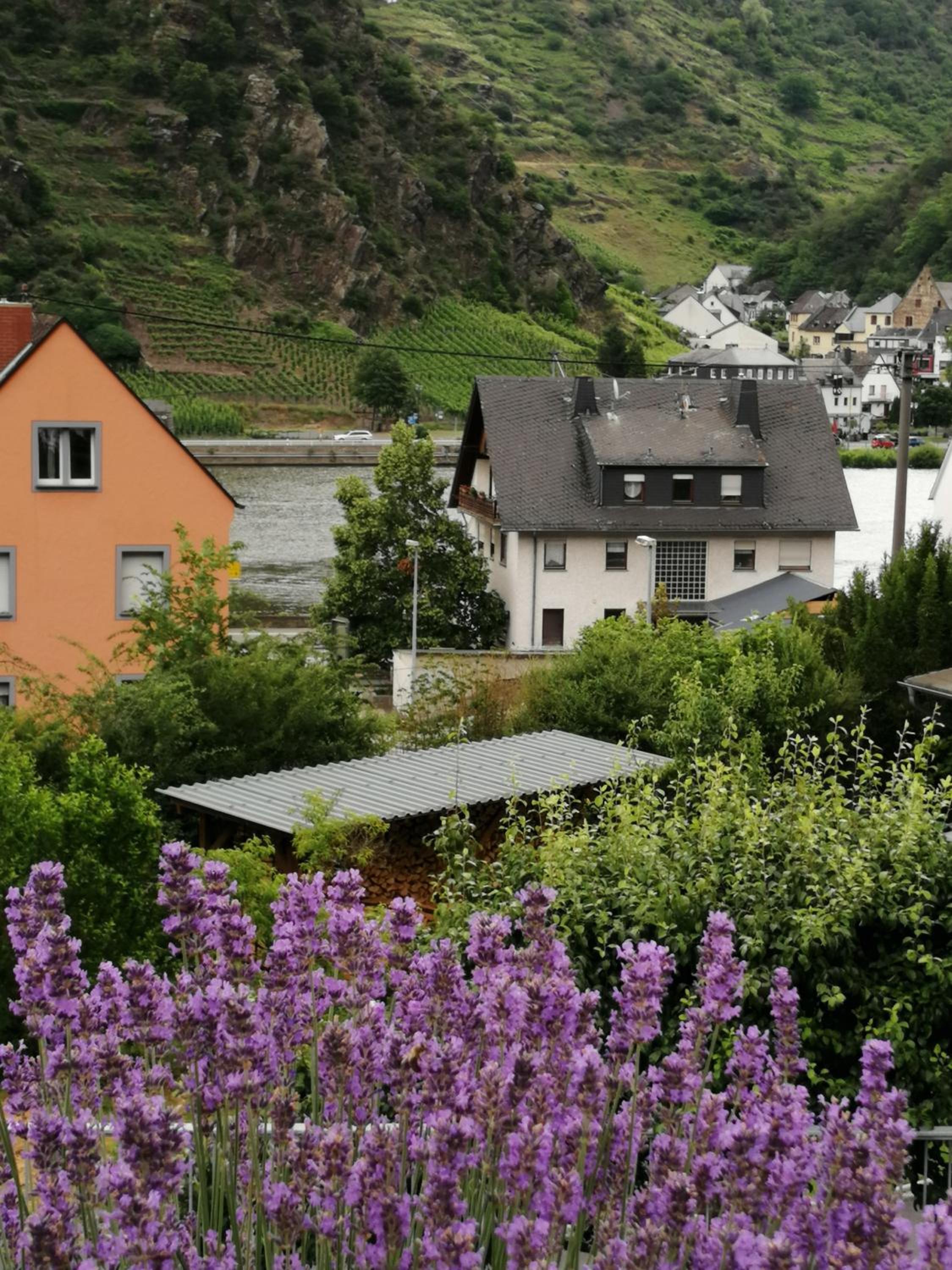 Haus Erika/ Fam. Frevel view 4