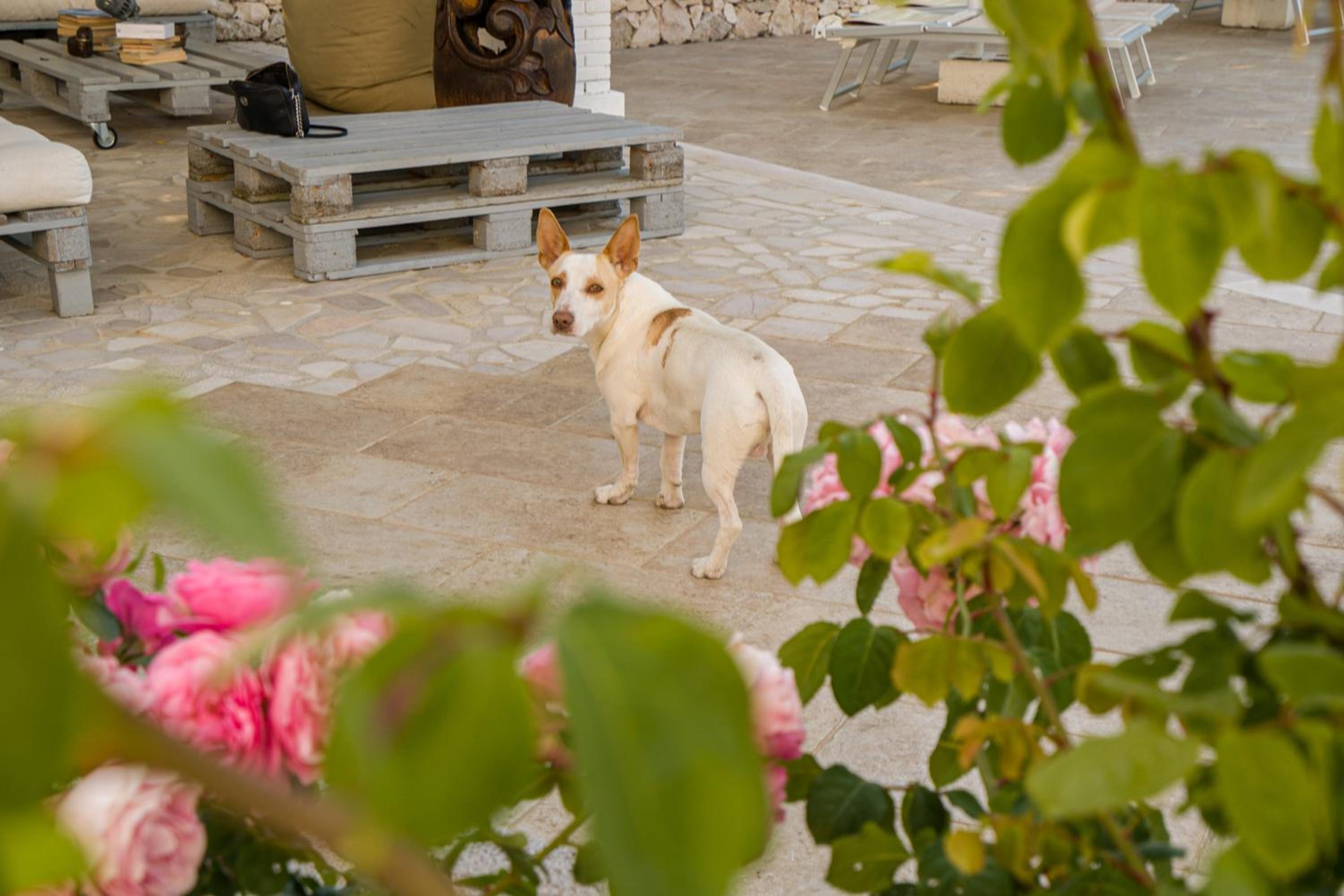 Borgo Canneto