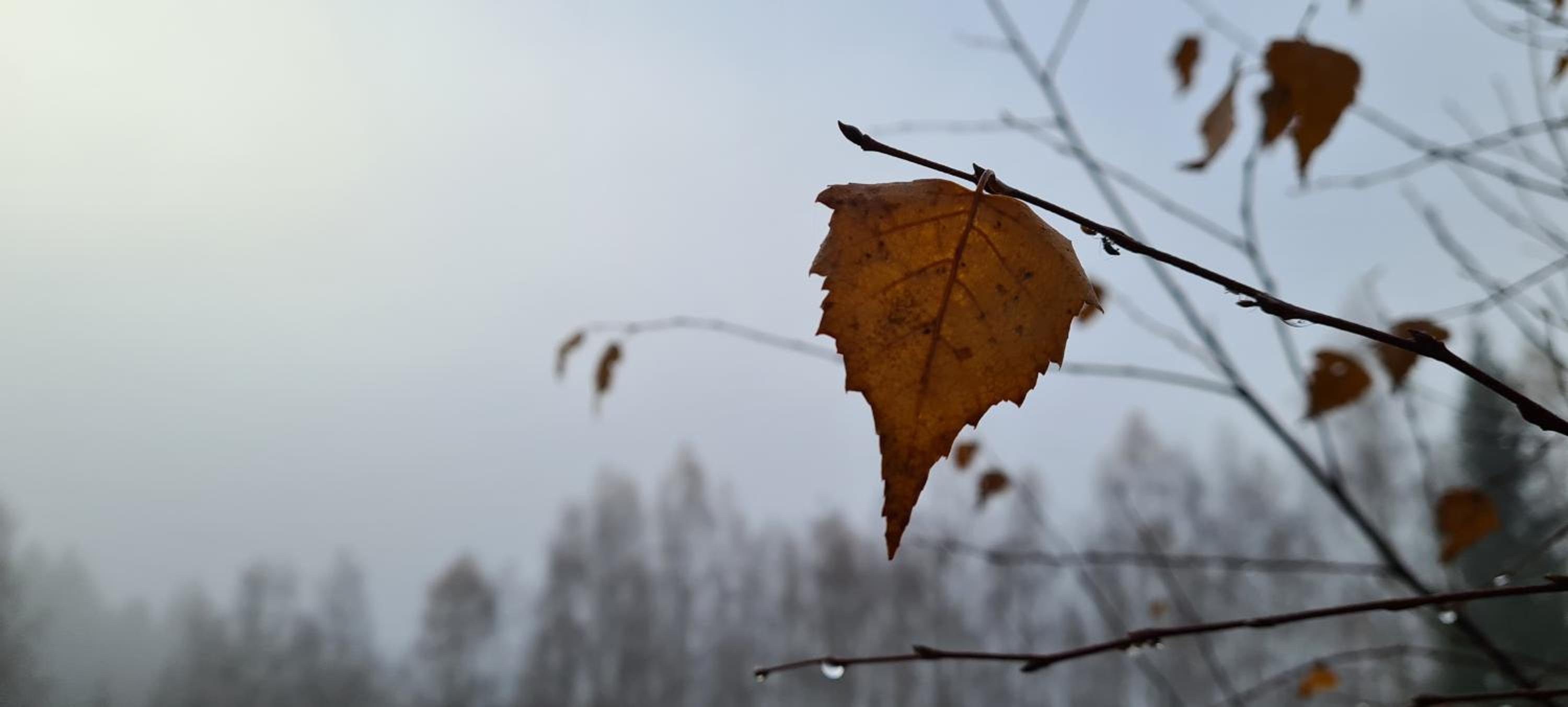 Horské ubytování Královský dvůr na Bílém potoce