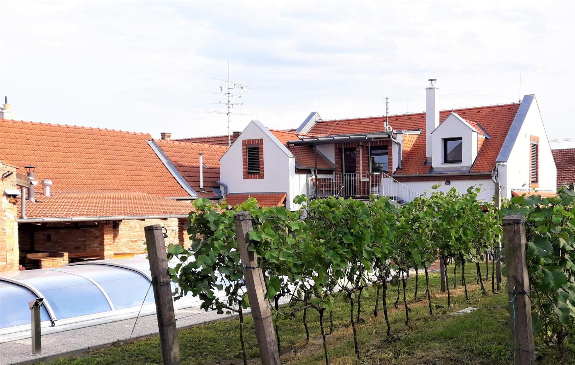 Vinařský dvůr Turna view 3