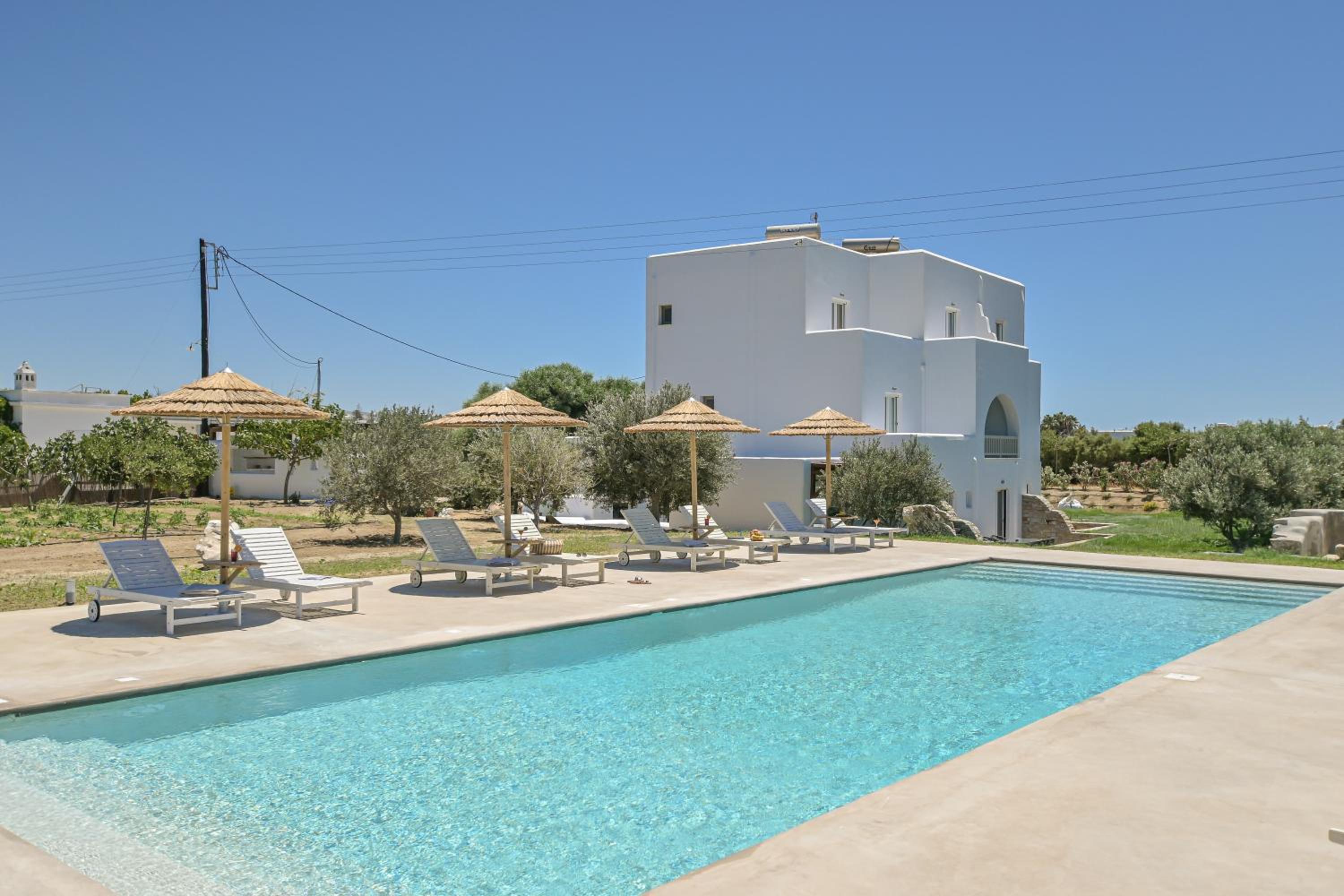 Ktima Lino — photo 38