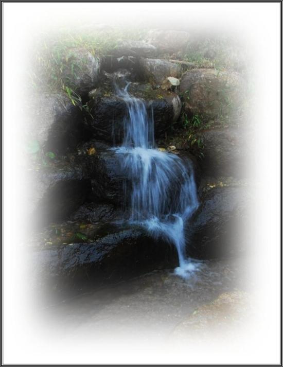 Photo 54
