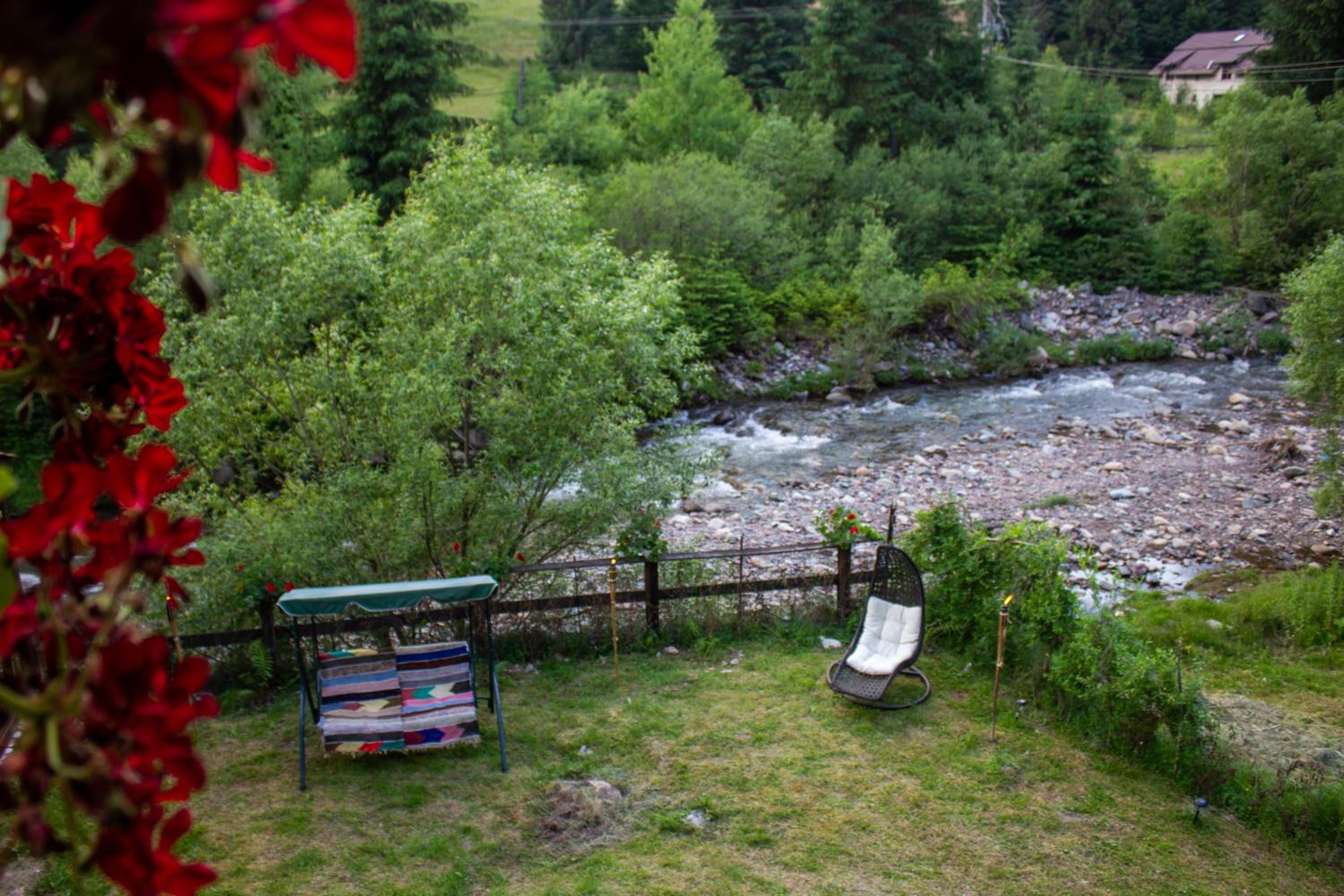 Photo 35