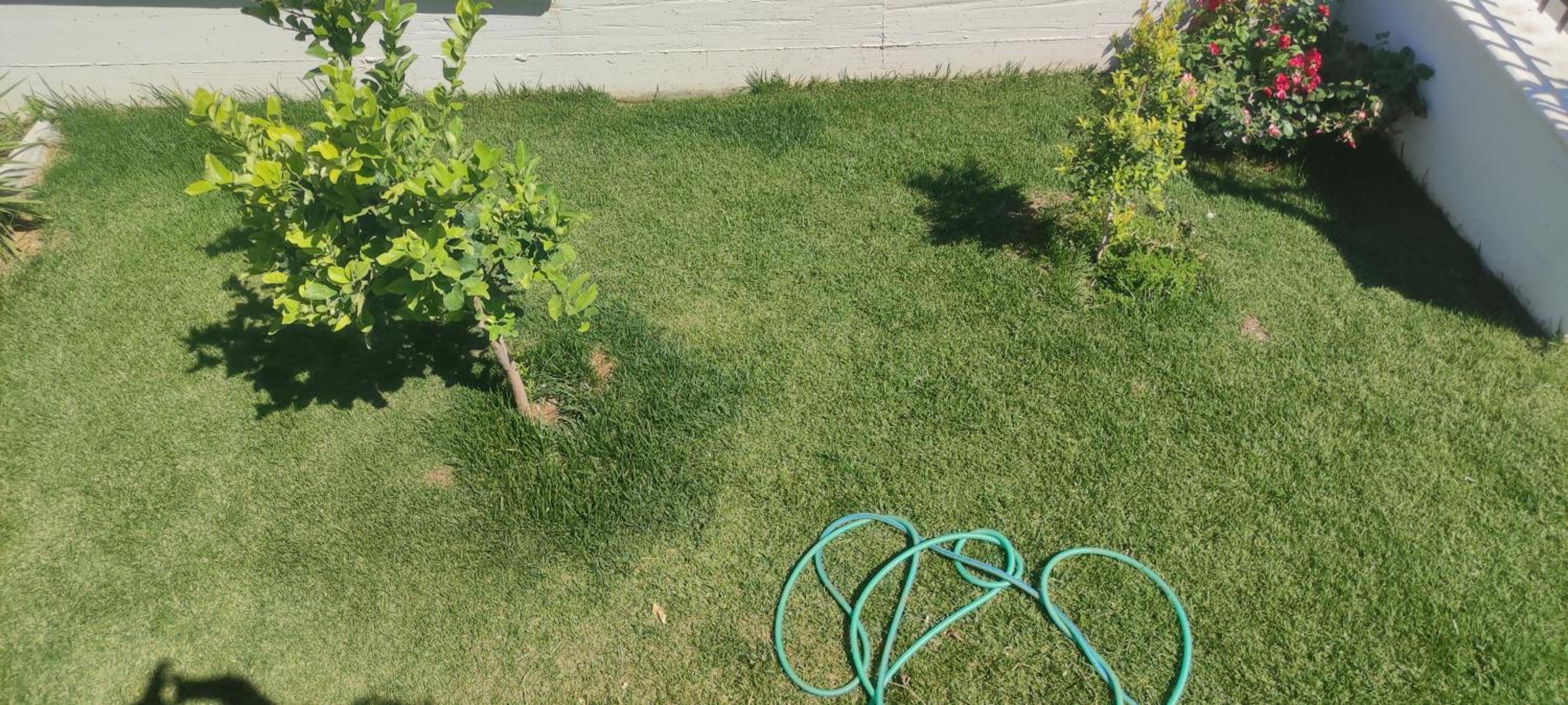 Photo 30