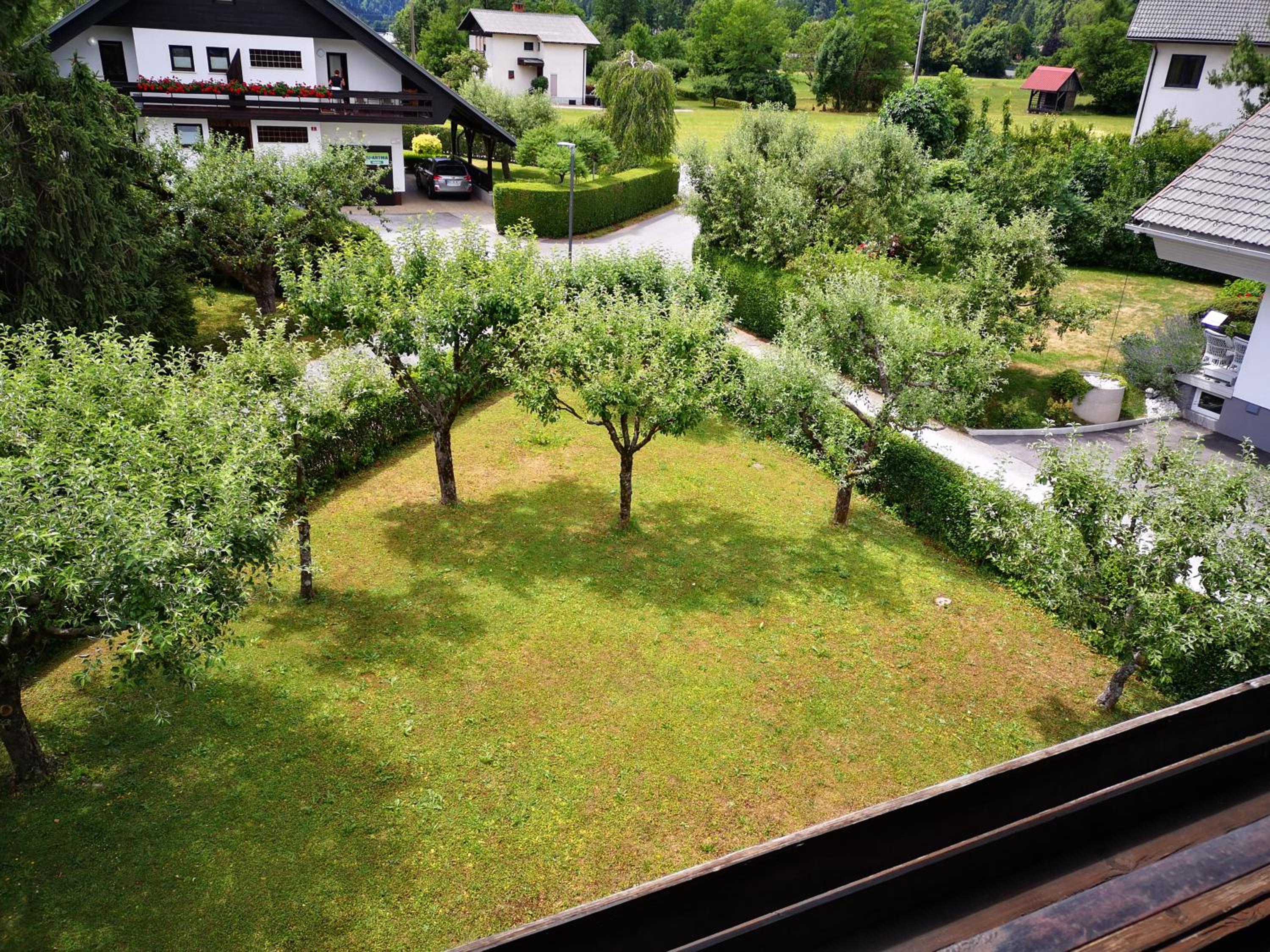 Photo 43