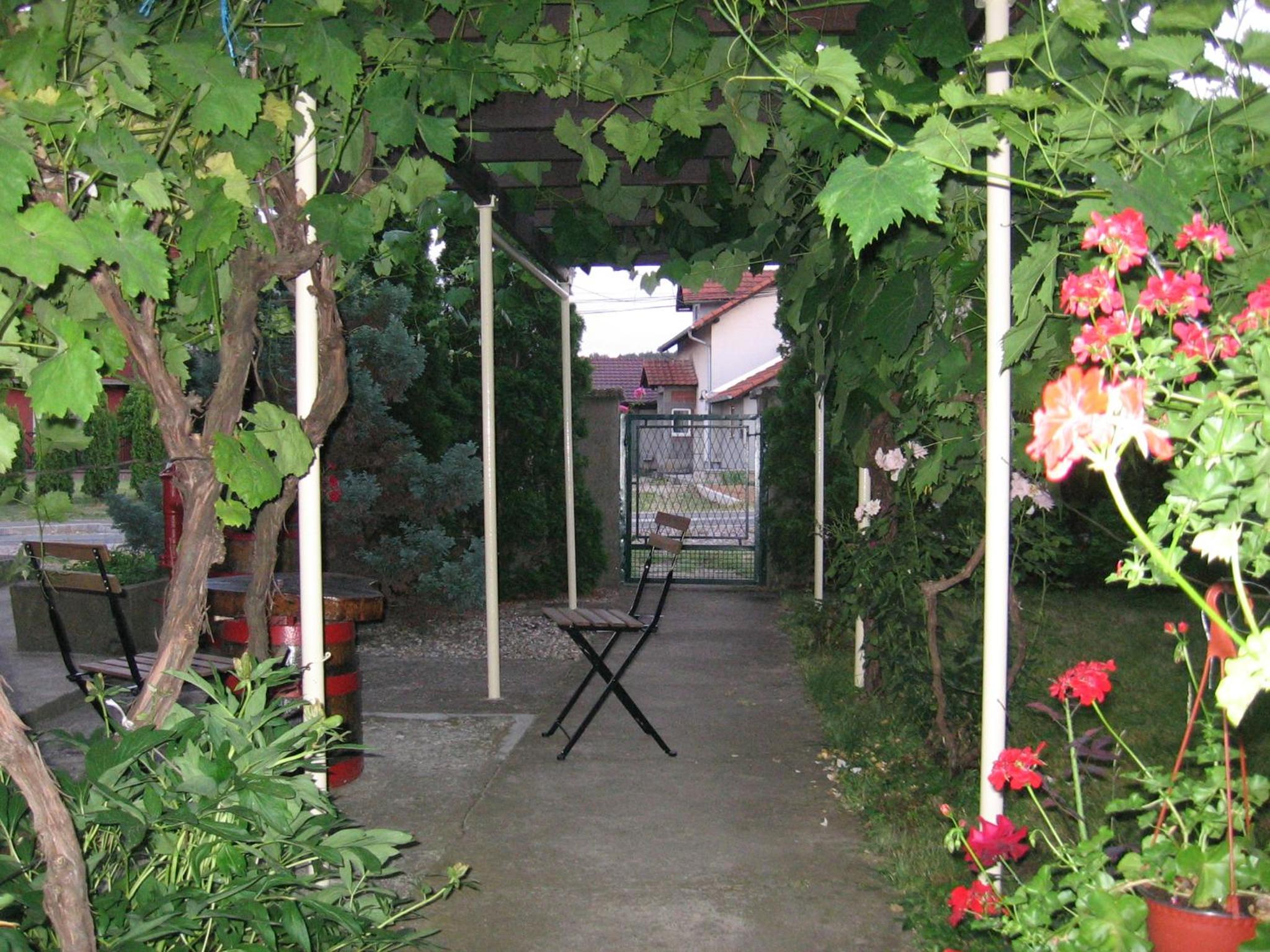Photo 17
