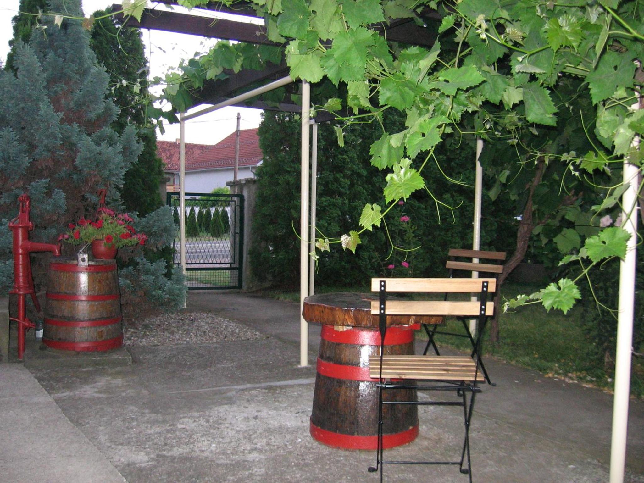 Photo 7