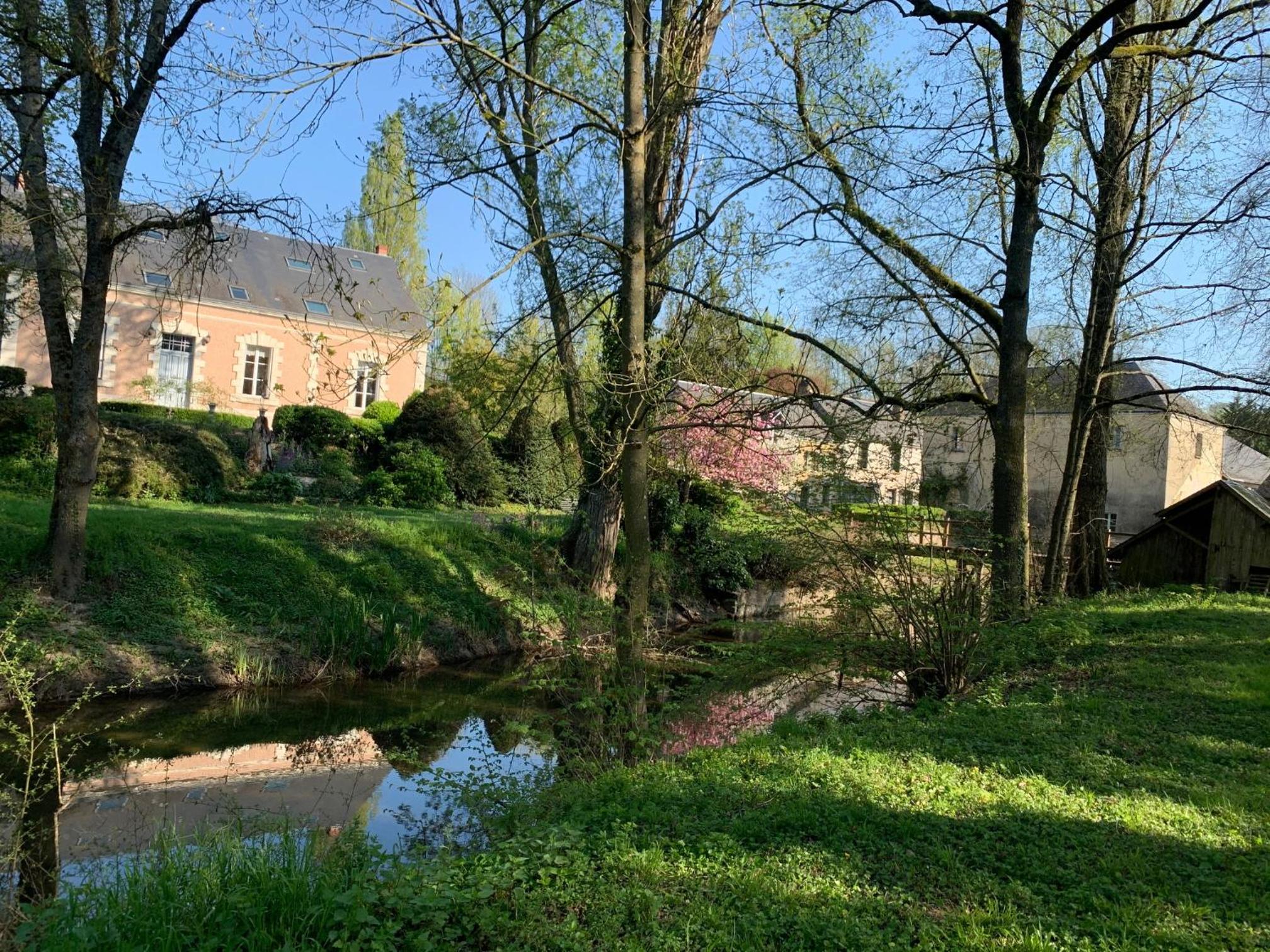 Photo 40