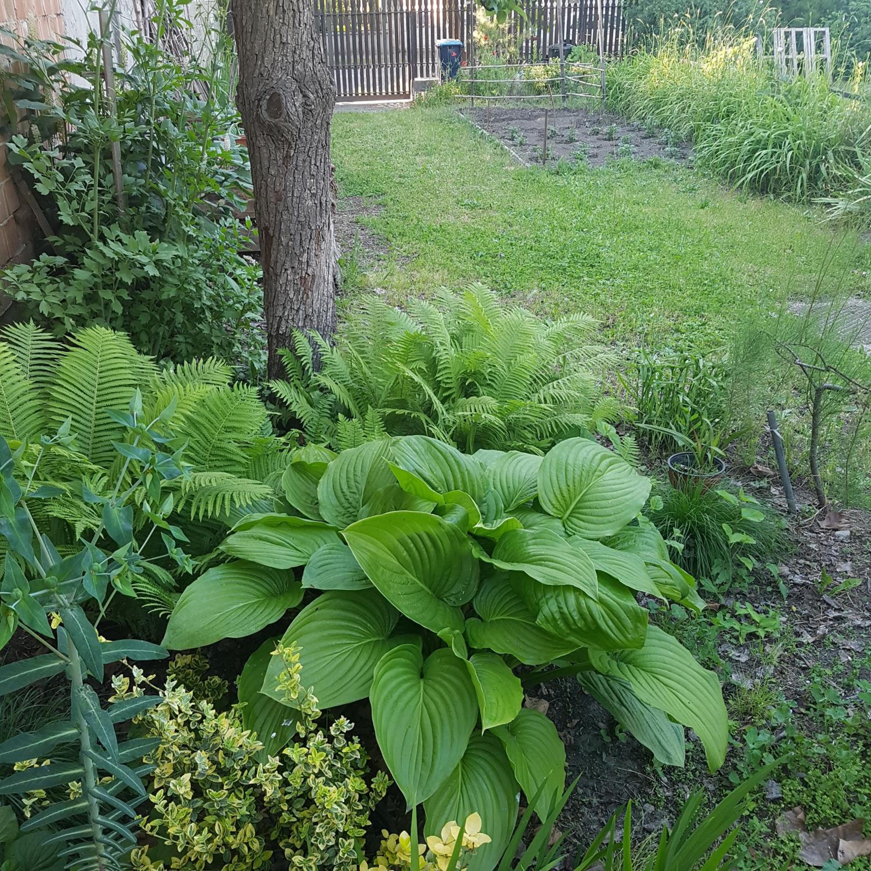 Photo 35