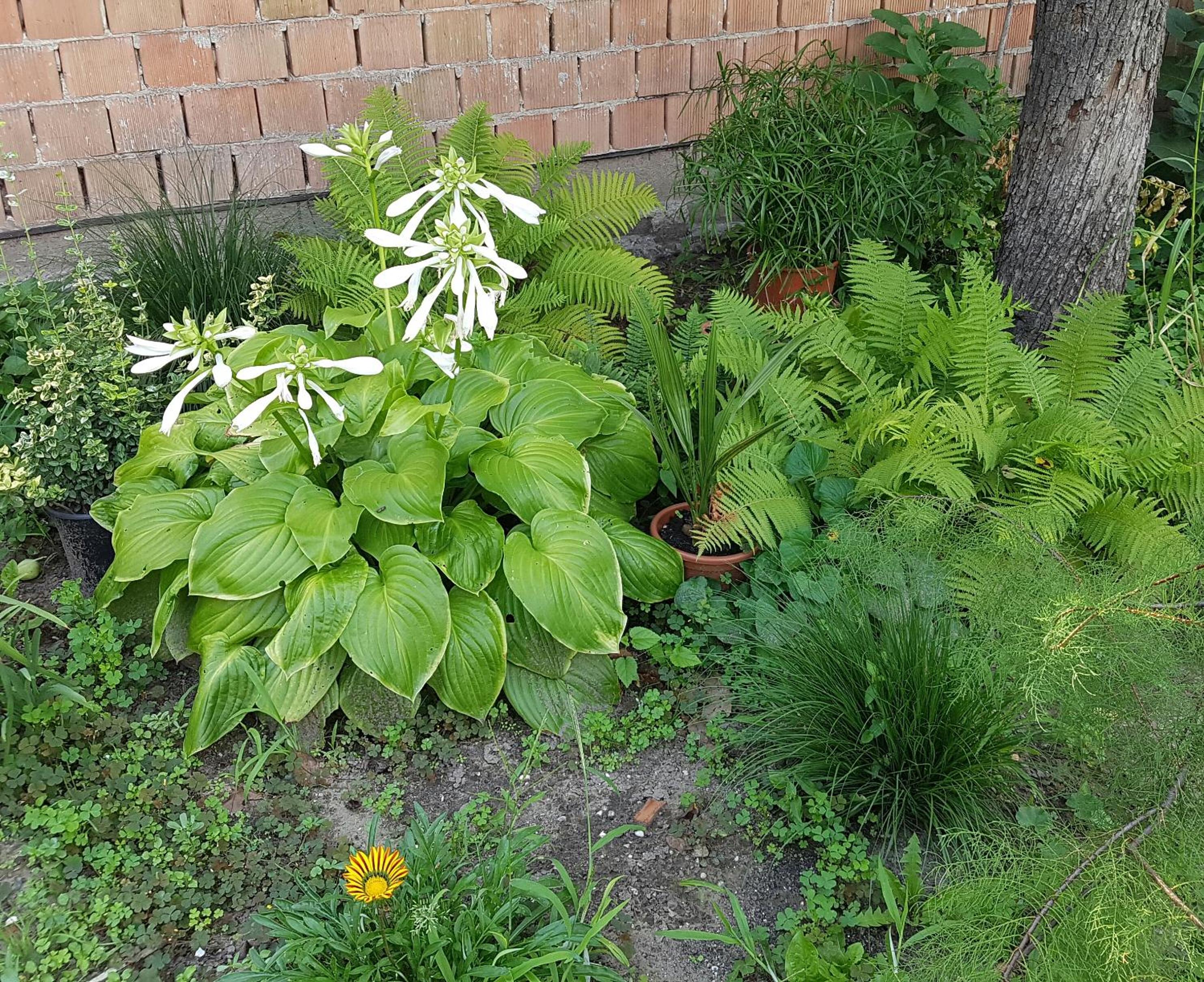 Photo 34