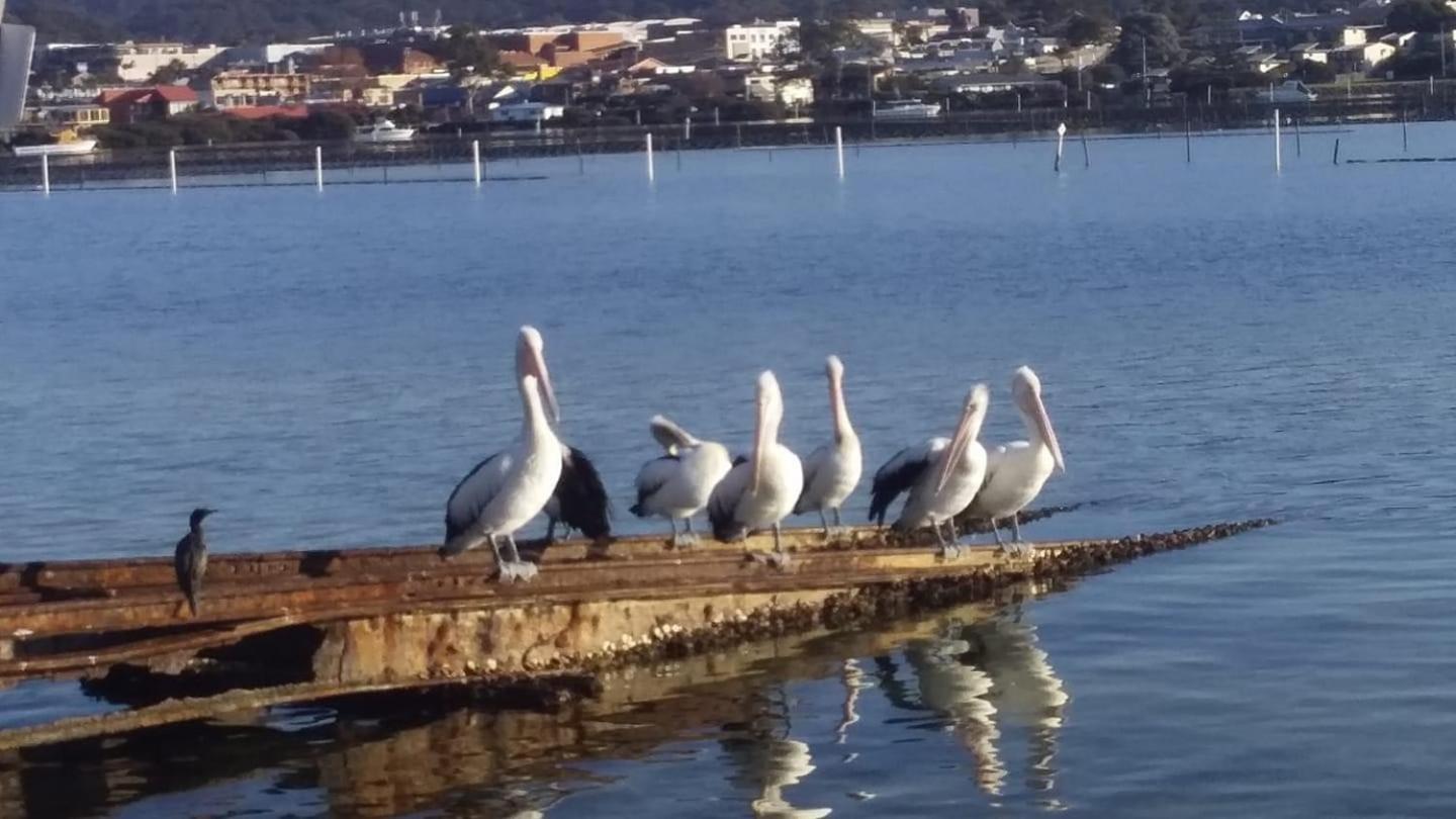 The Peninsular Merimbula