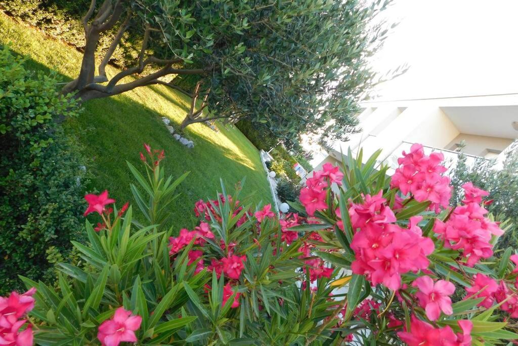 Villa Summer Stars view 3