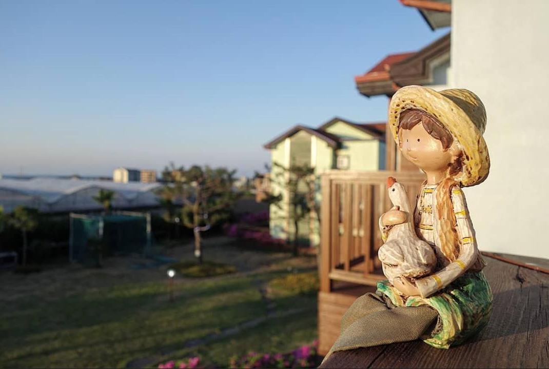 Jeju Time-Travel Pension