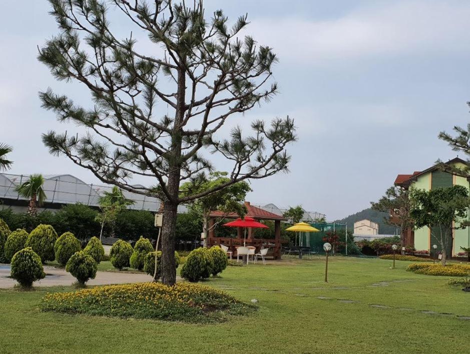 Jeju Time-Travel Pension
