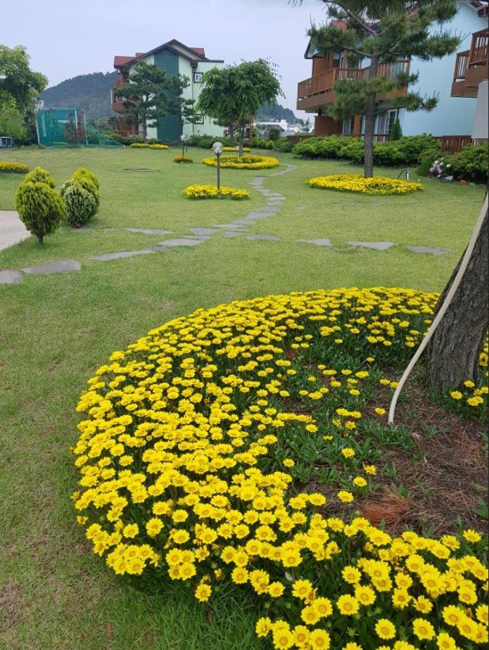 Jeju Time-Travel Pension