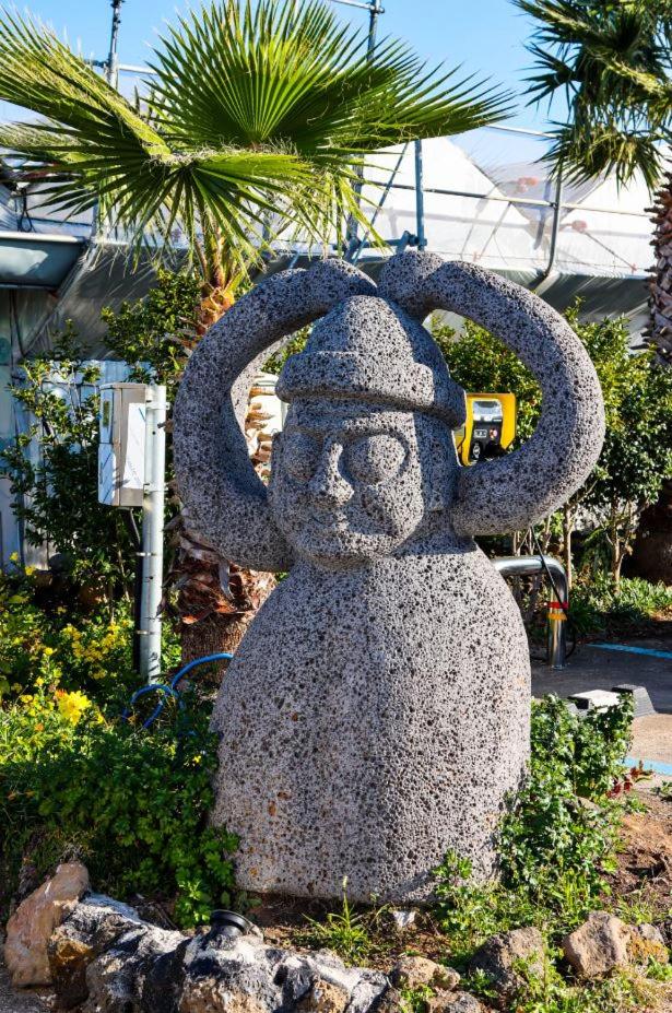 Jeju Time-Travel Pension