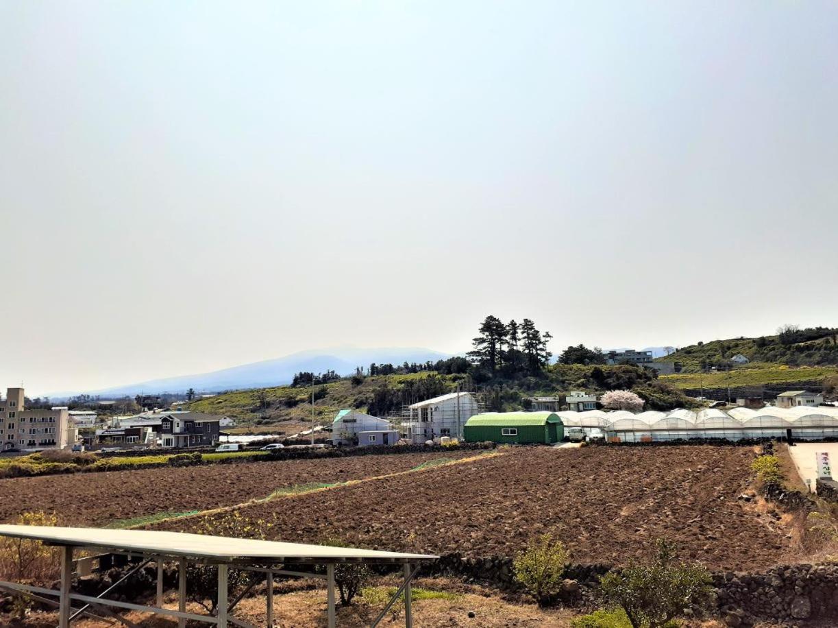 Jeju Time-Travel Pension