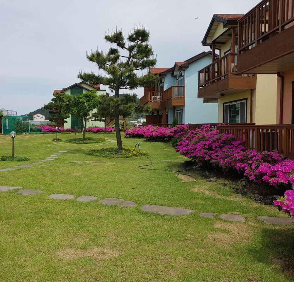 Jeju Time-Travel Pension