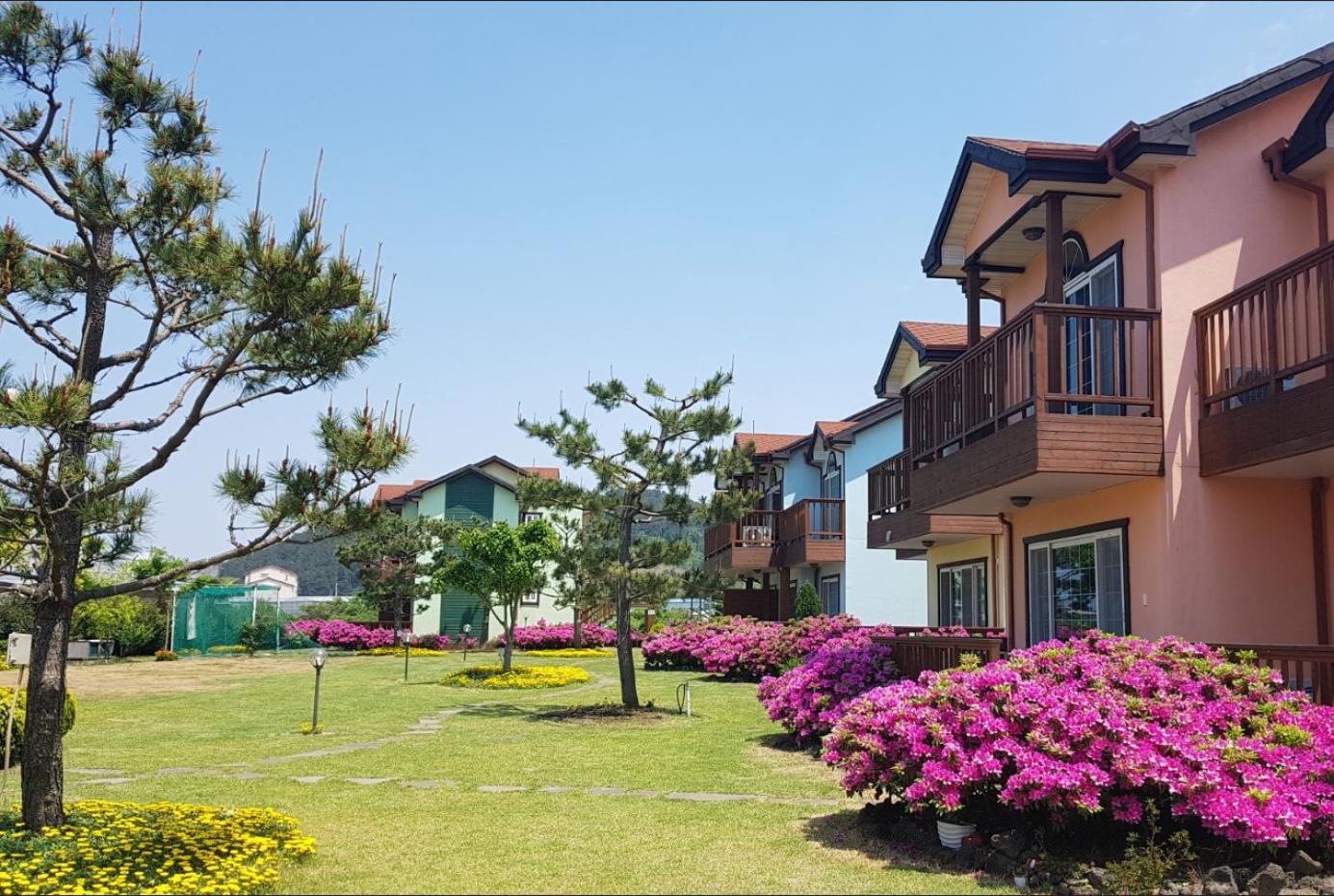 Jeju Time-Travel Pension
