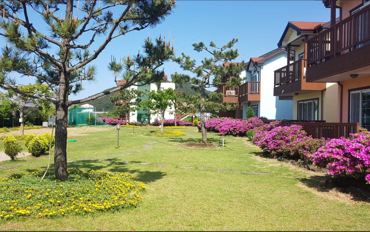 Jeju Time-Travel Pension