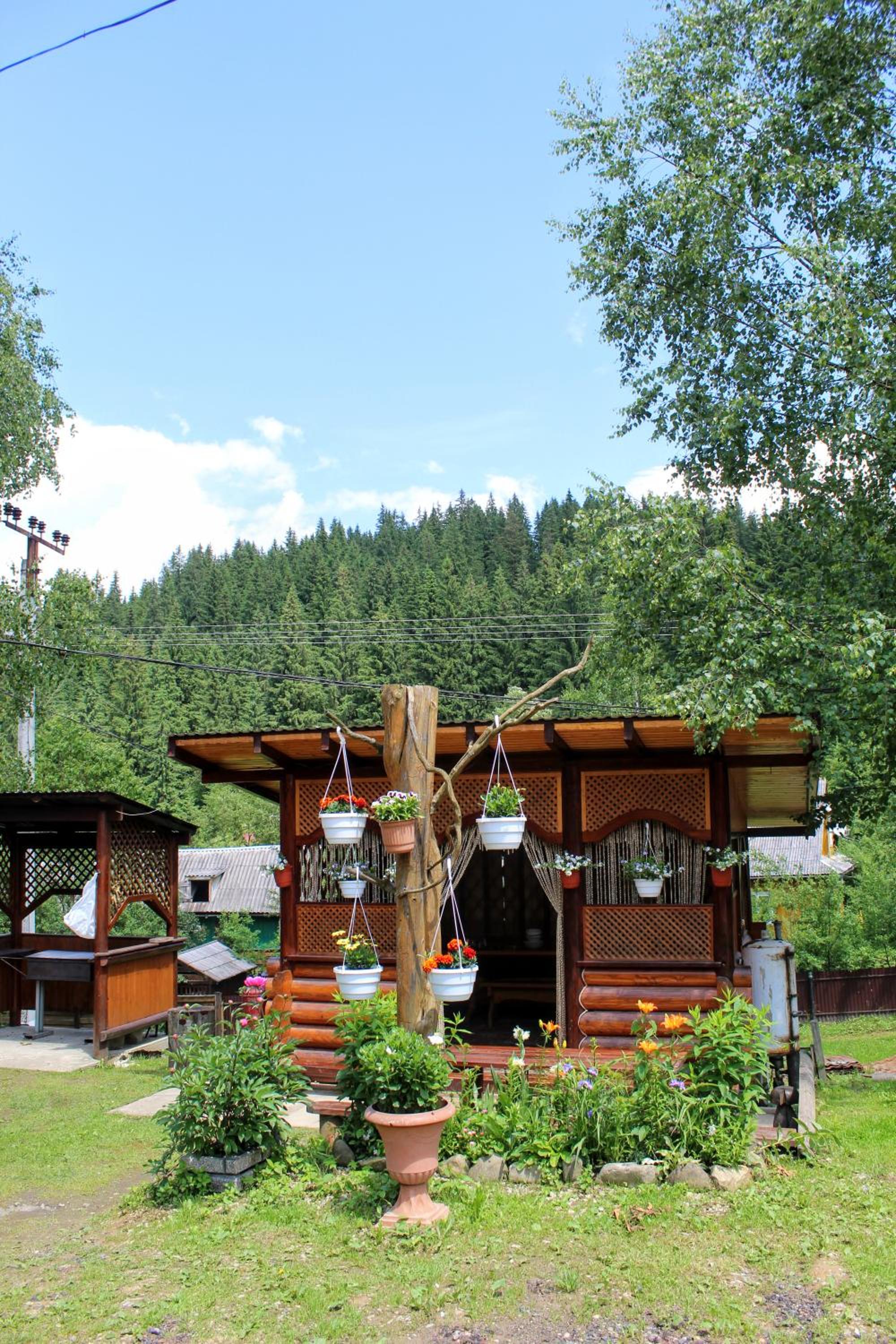 Photo 27
