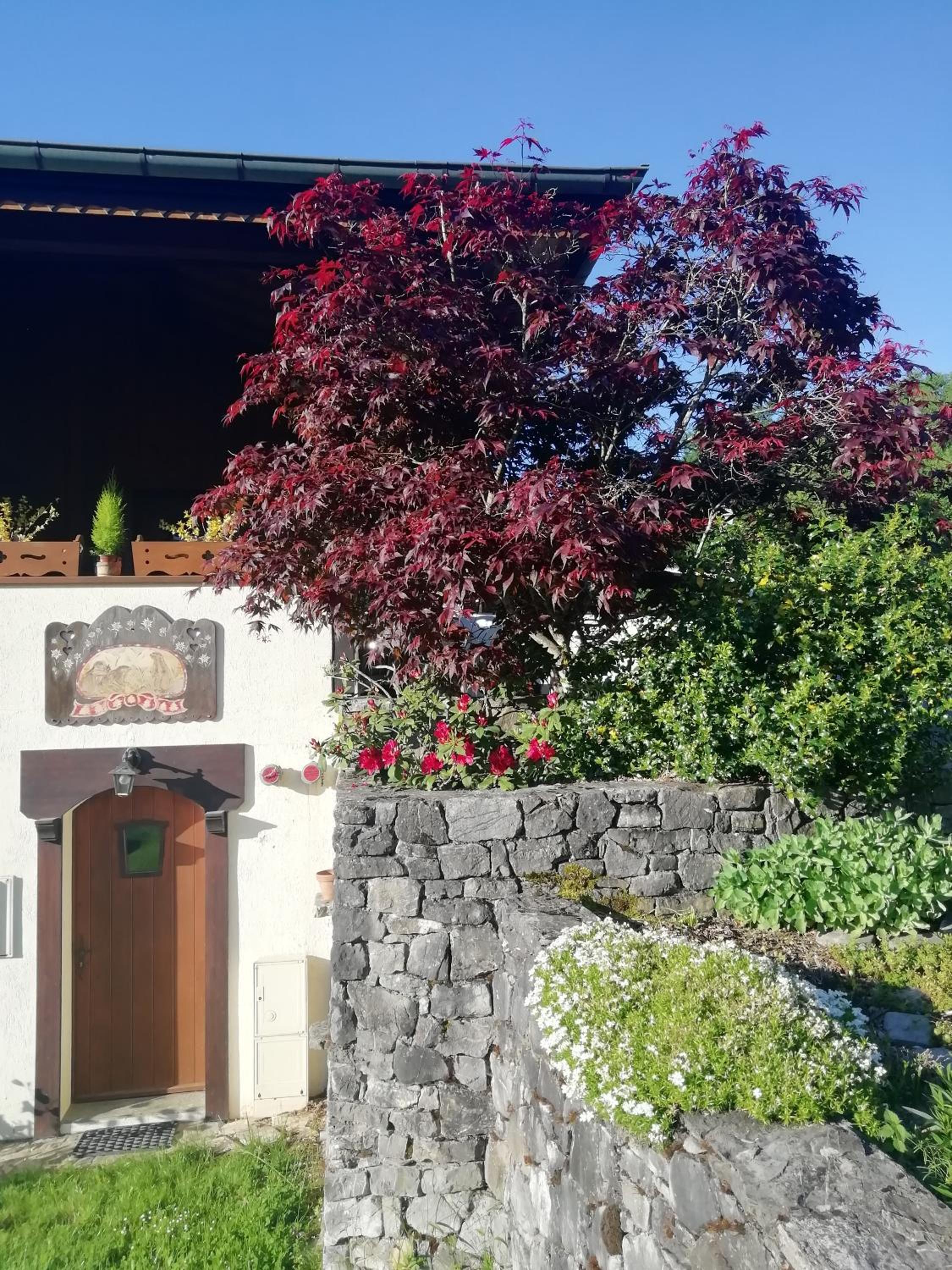 Photo 16
