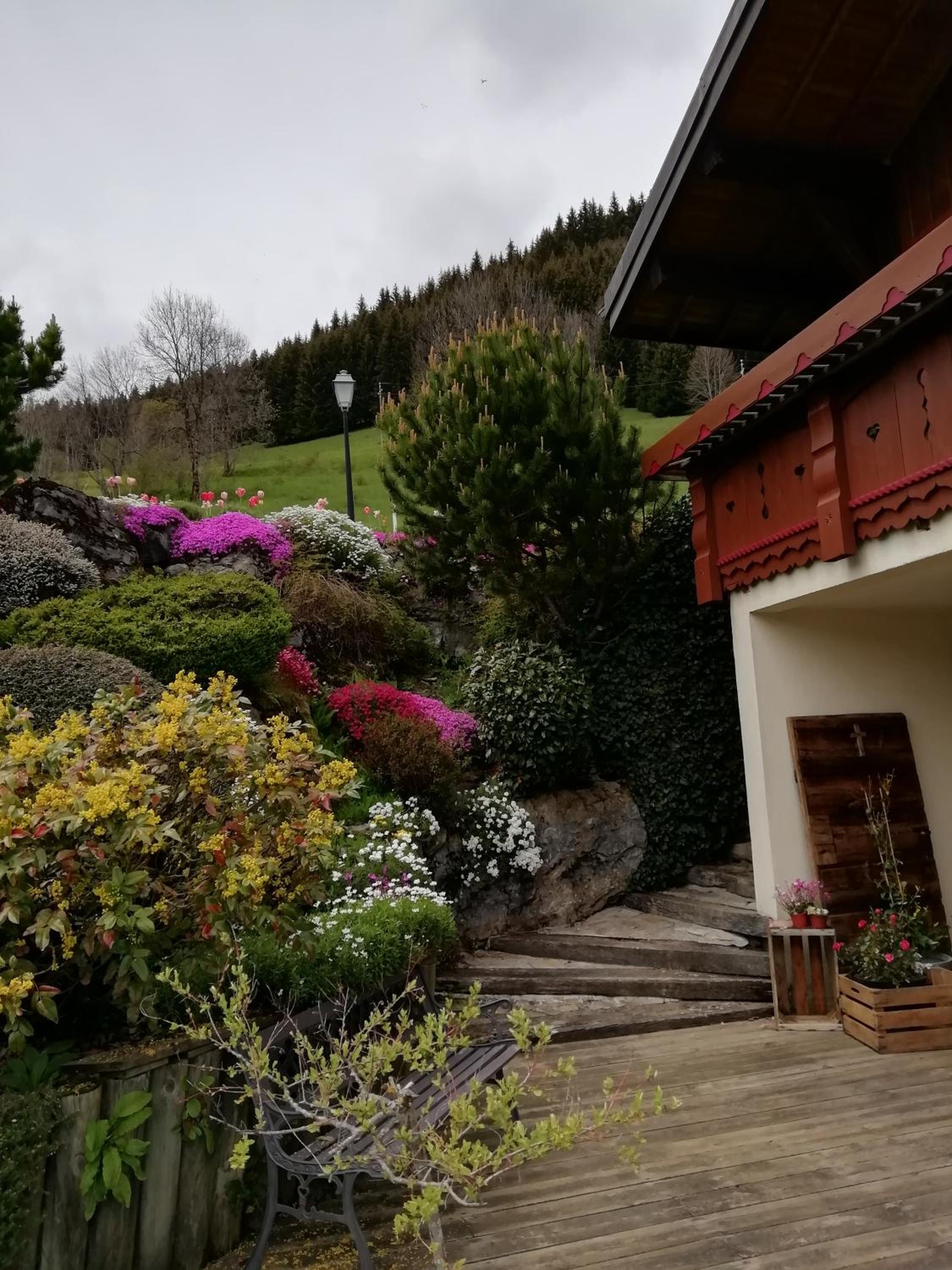 Photo 20