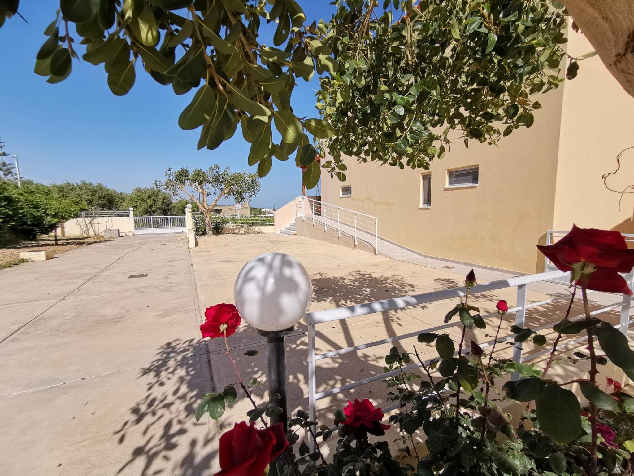 Photo 26
