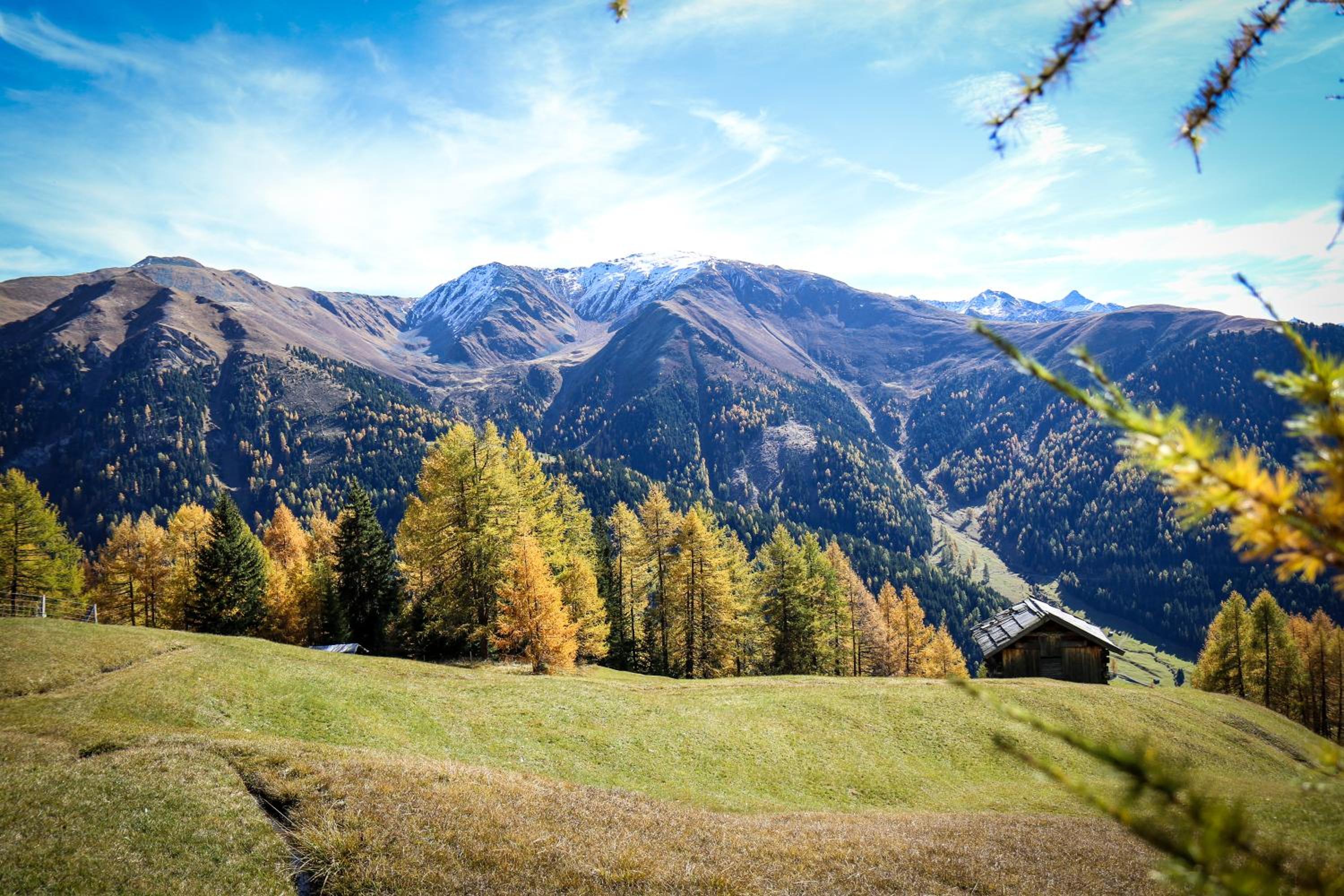 Pension Fuchs