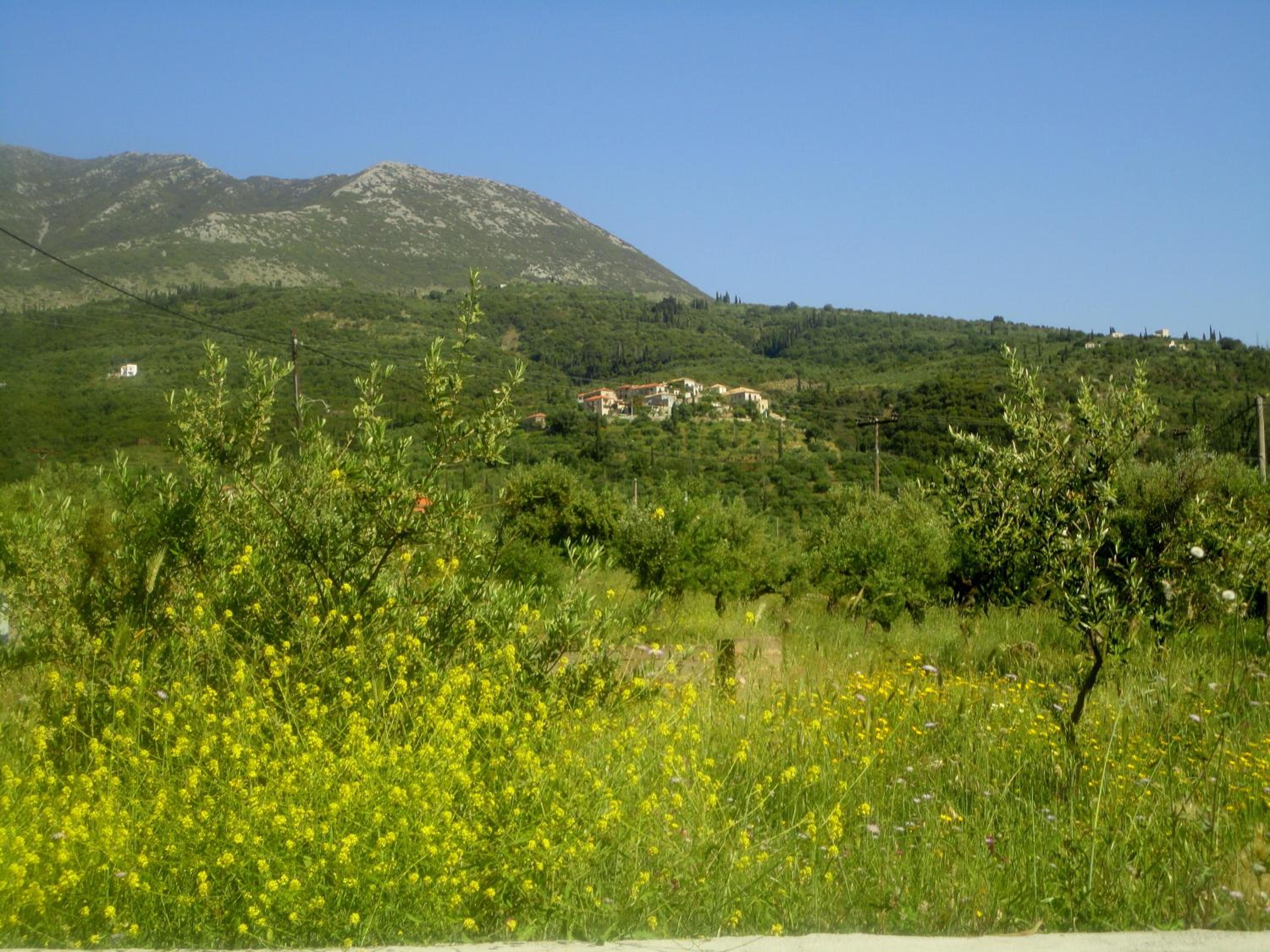 Photo 24