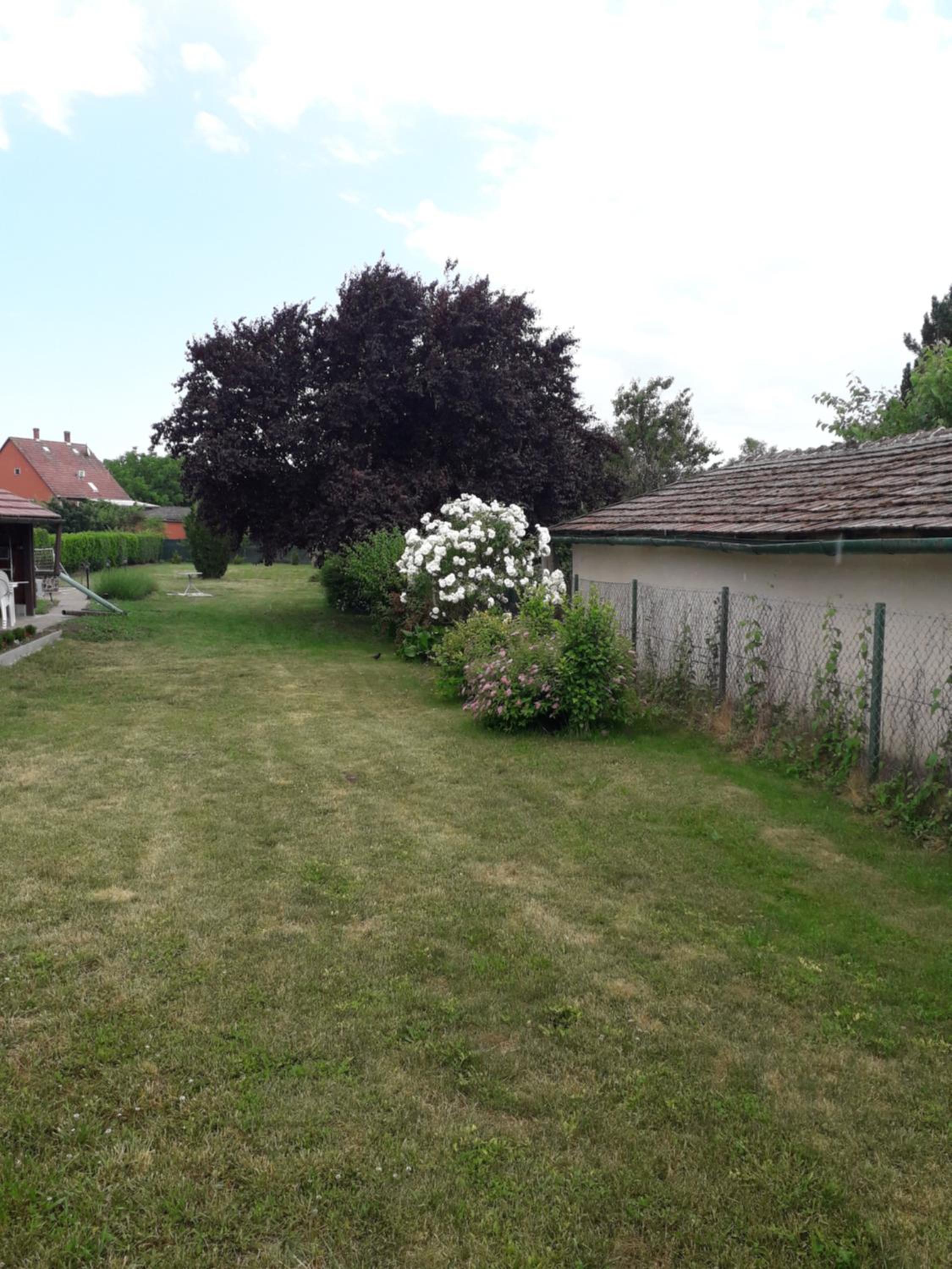 Photo 35