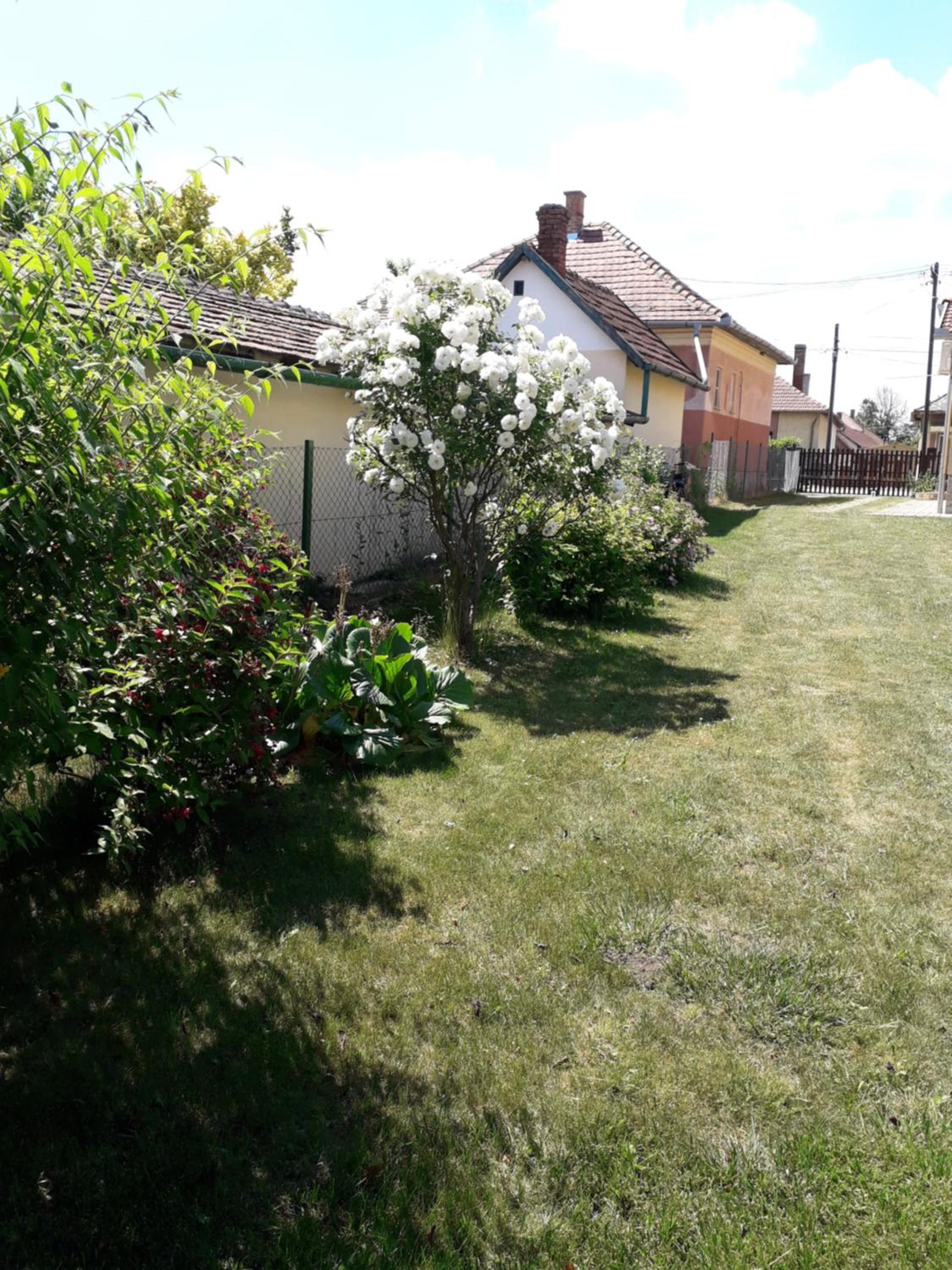 Photo 34