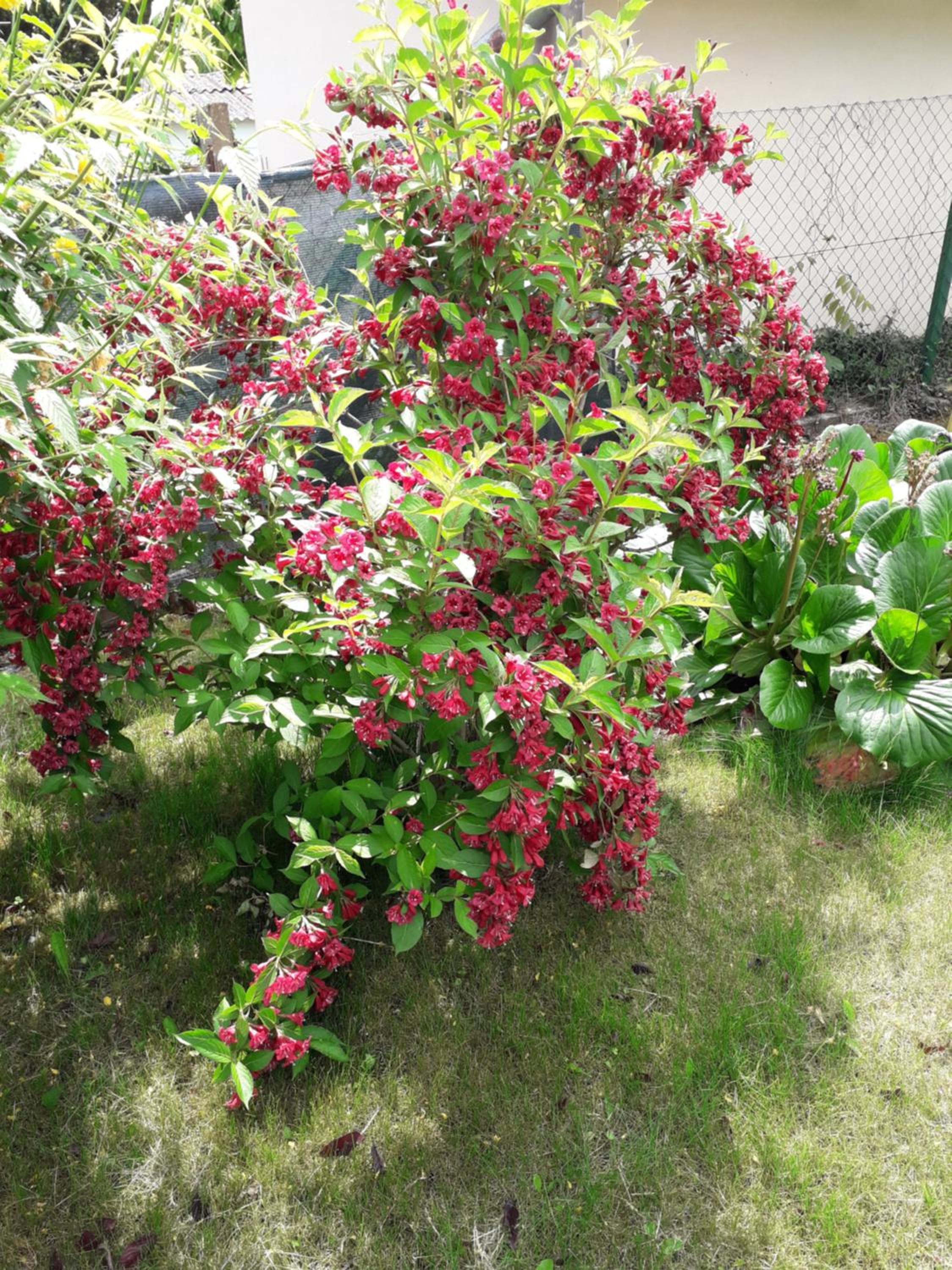 Photo 36