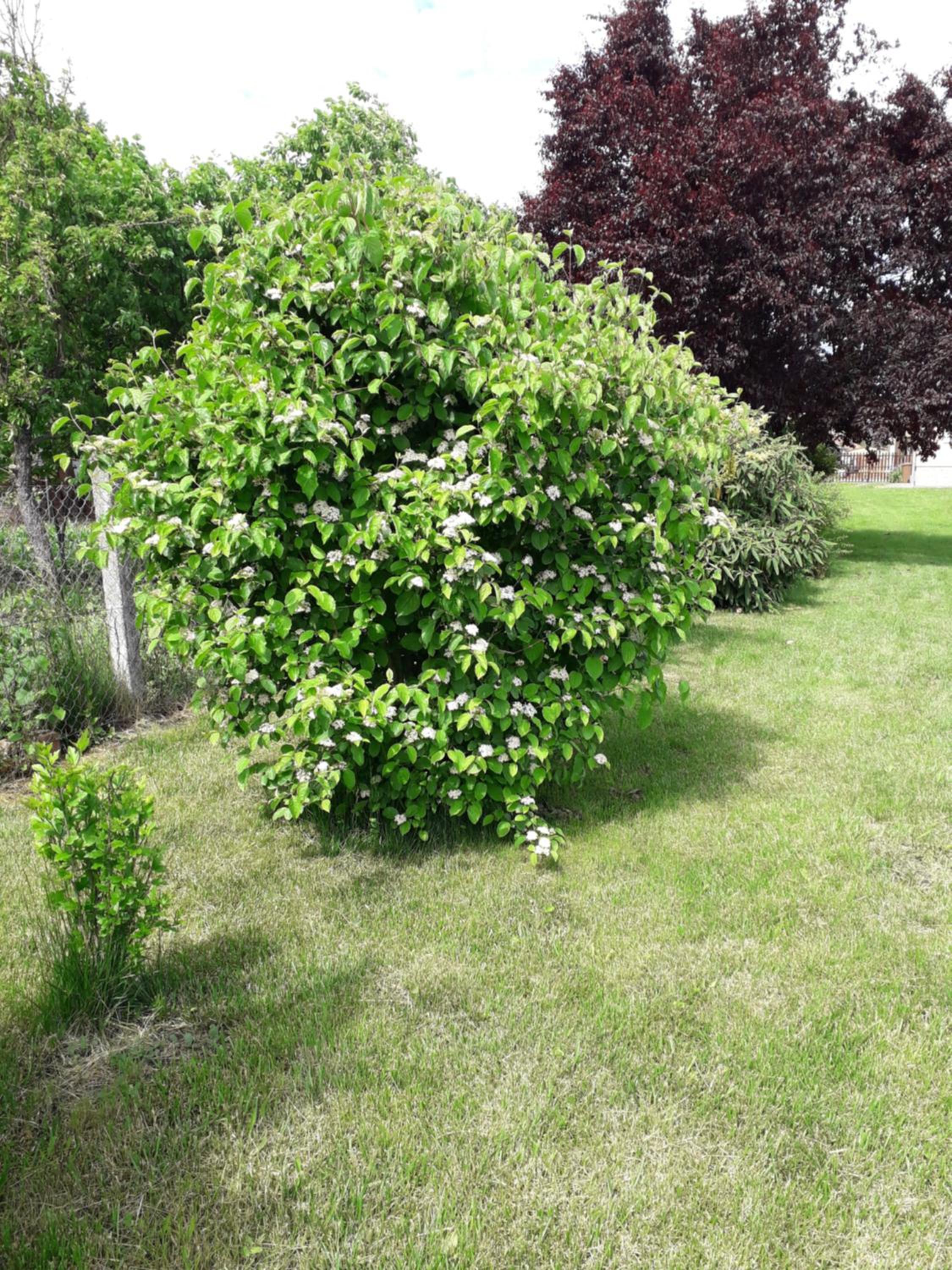Photo 37