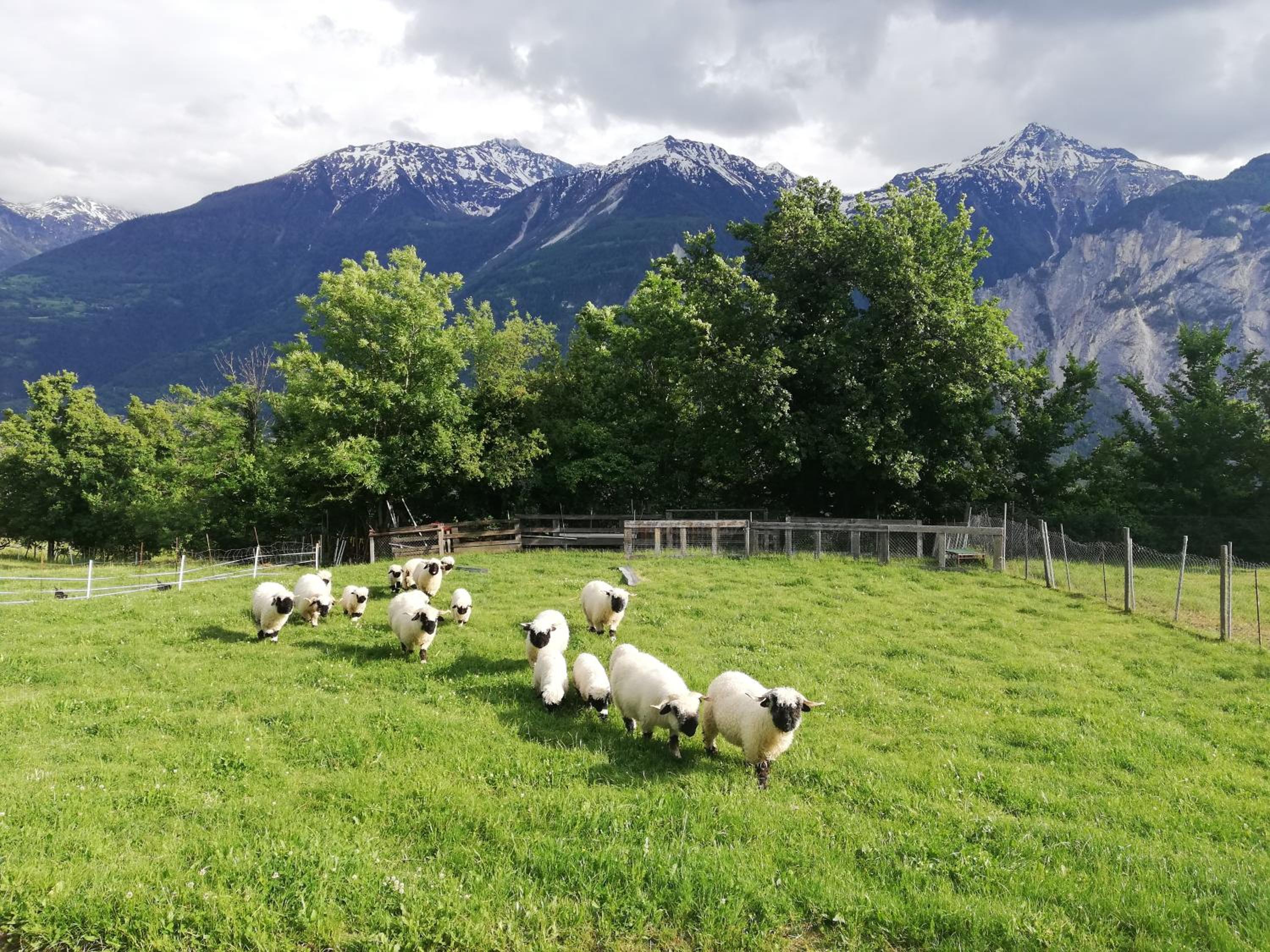 B&B Chalet Rustica Inden, Leukerbad