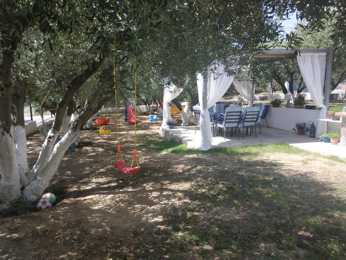 Photo 44