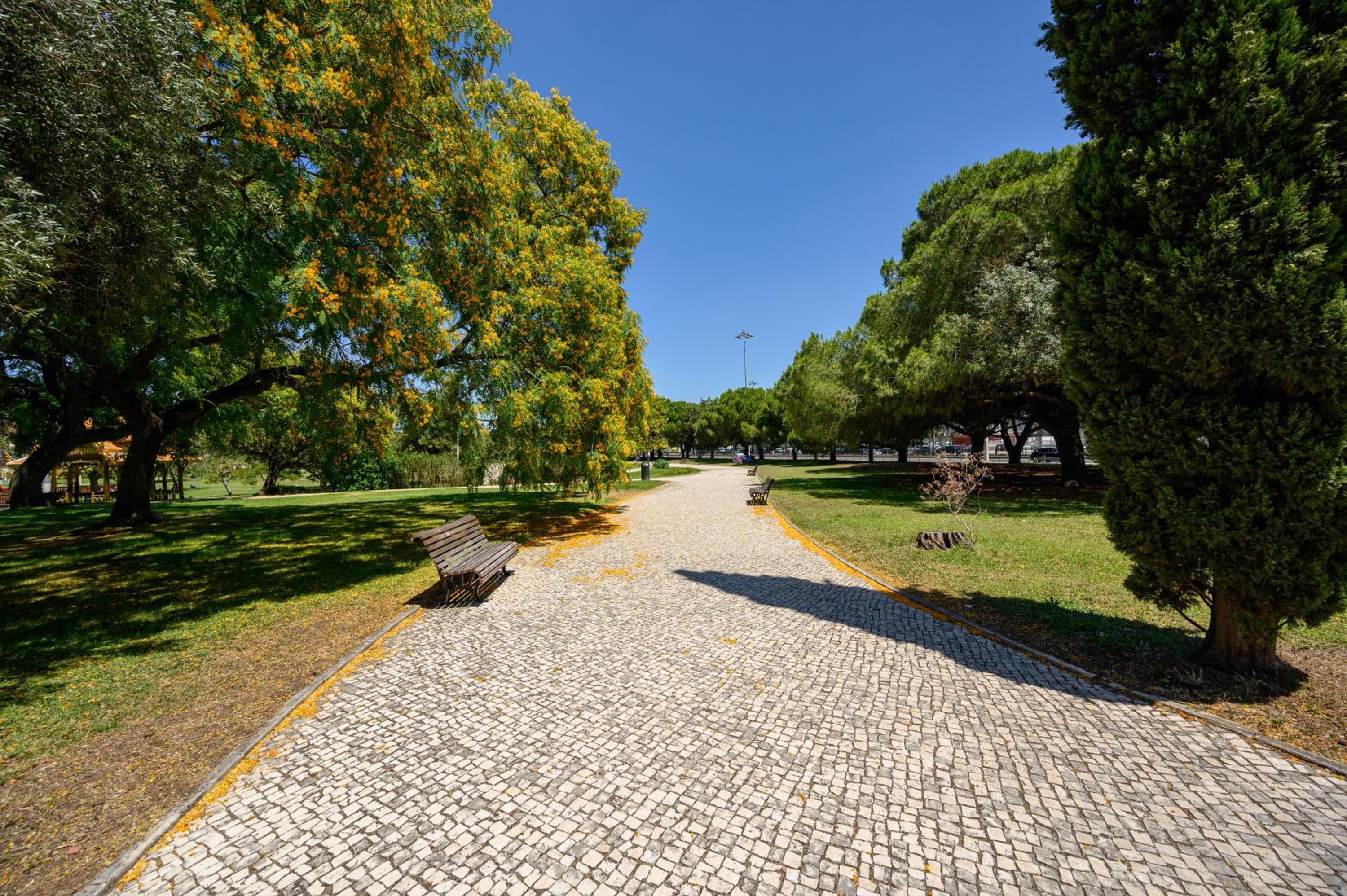 Terrace Lisbon Hostel