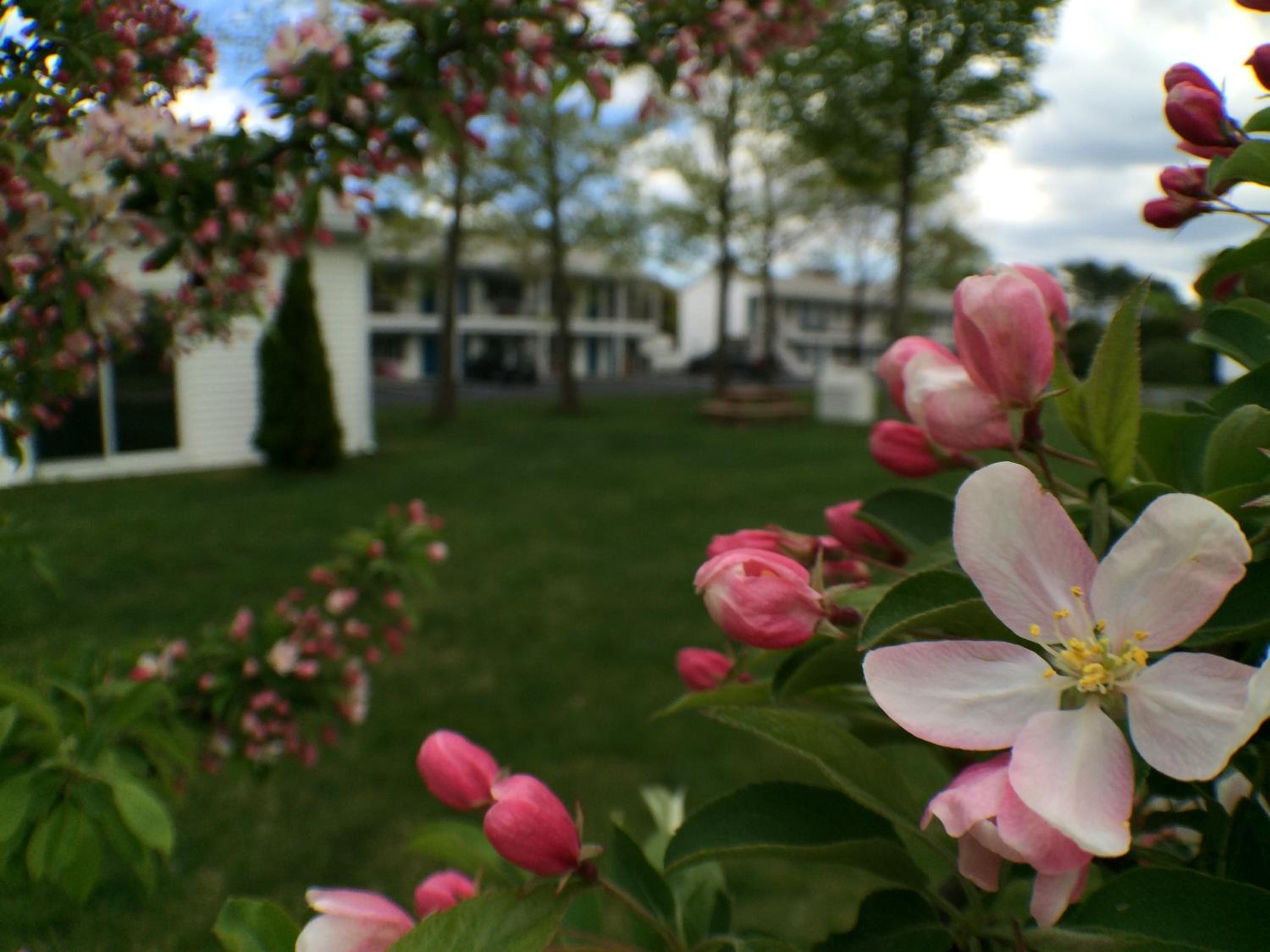 Ocean Acres Ogunquit